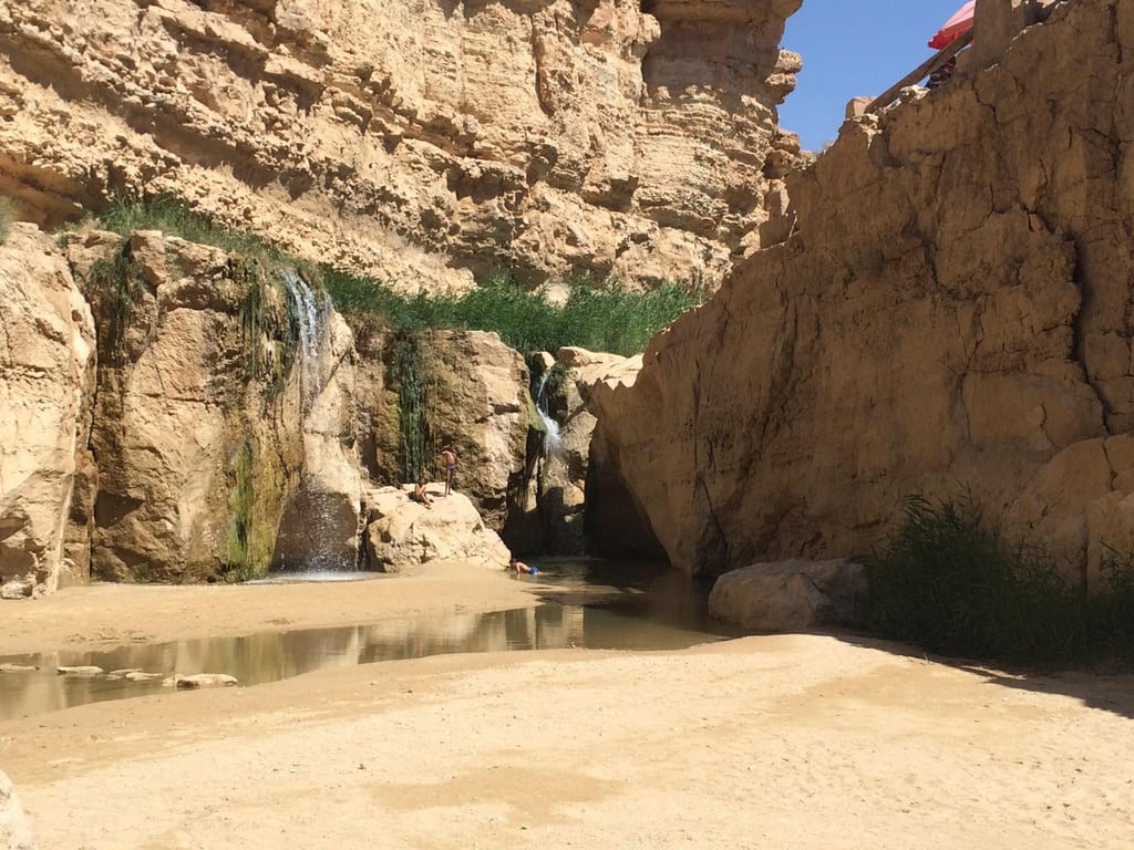 Tamerza Canyon