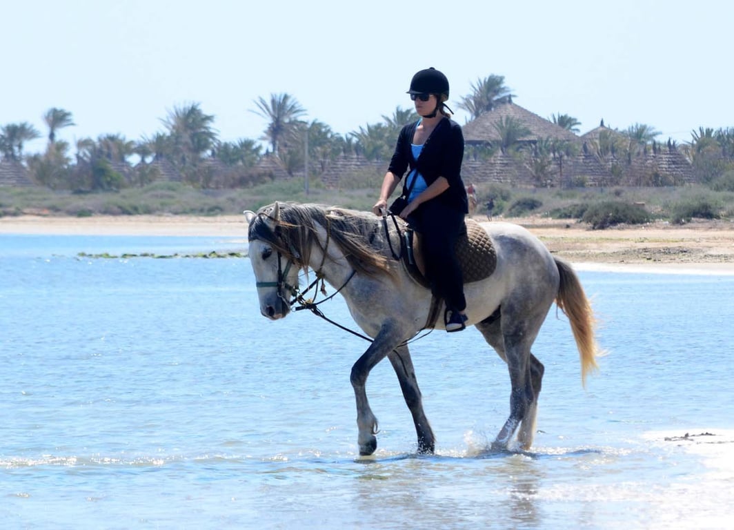 Ranch Yassmina Djerba La Douce