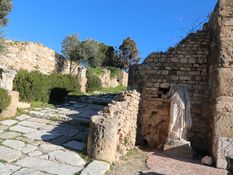 Les villas romaines de Carthage