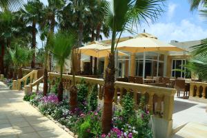 Hotel Riadh Meninx Djerba