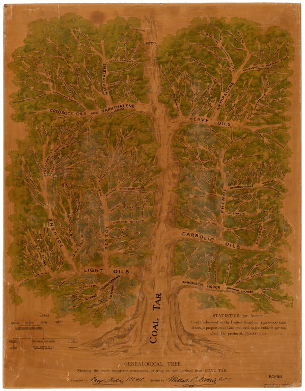 'Genealogical Tree' educational aid