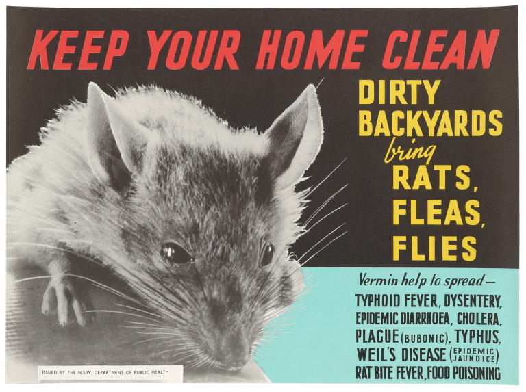 'Keep your home clean' public health poster