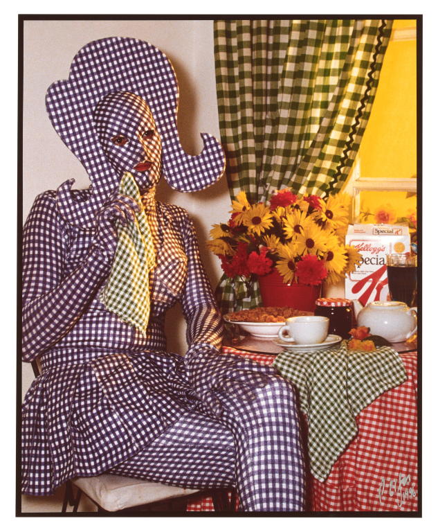 'Brenton in Gingham' photograph by Peter Elfes