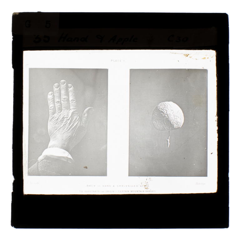 Lantern slide of a hand and an apple