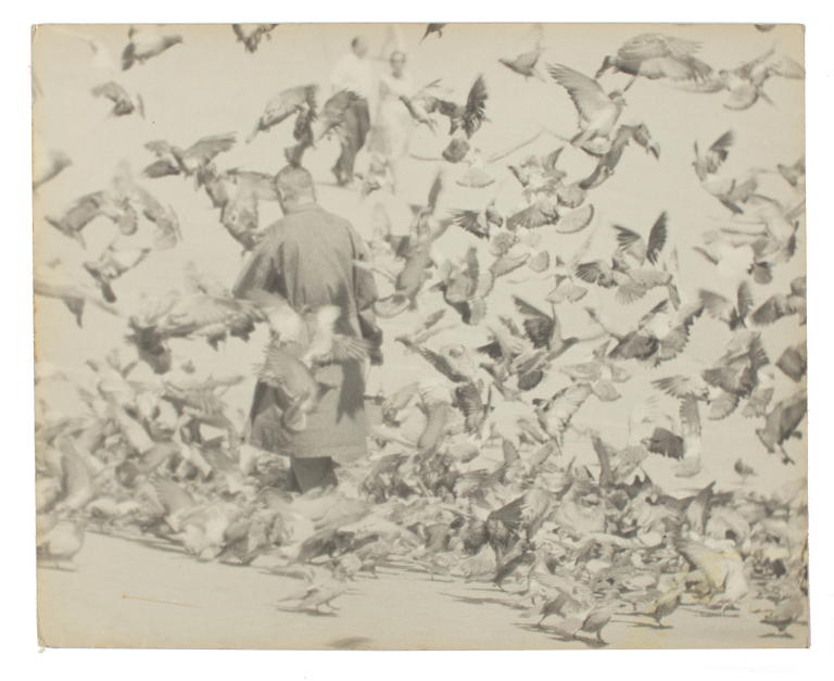 Photograph 'Man feeding pigeons' by Bruno Benini