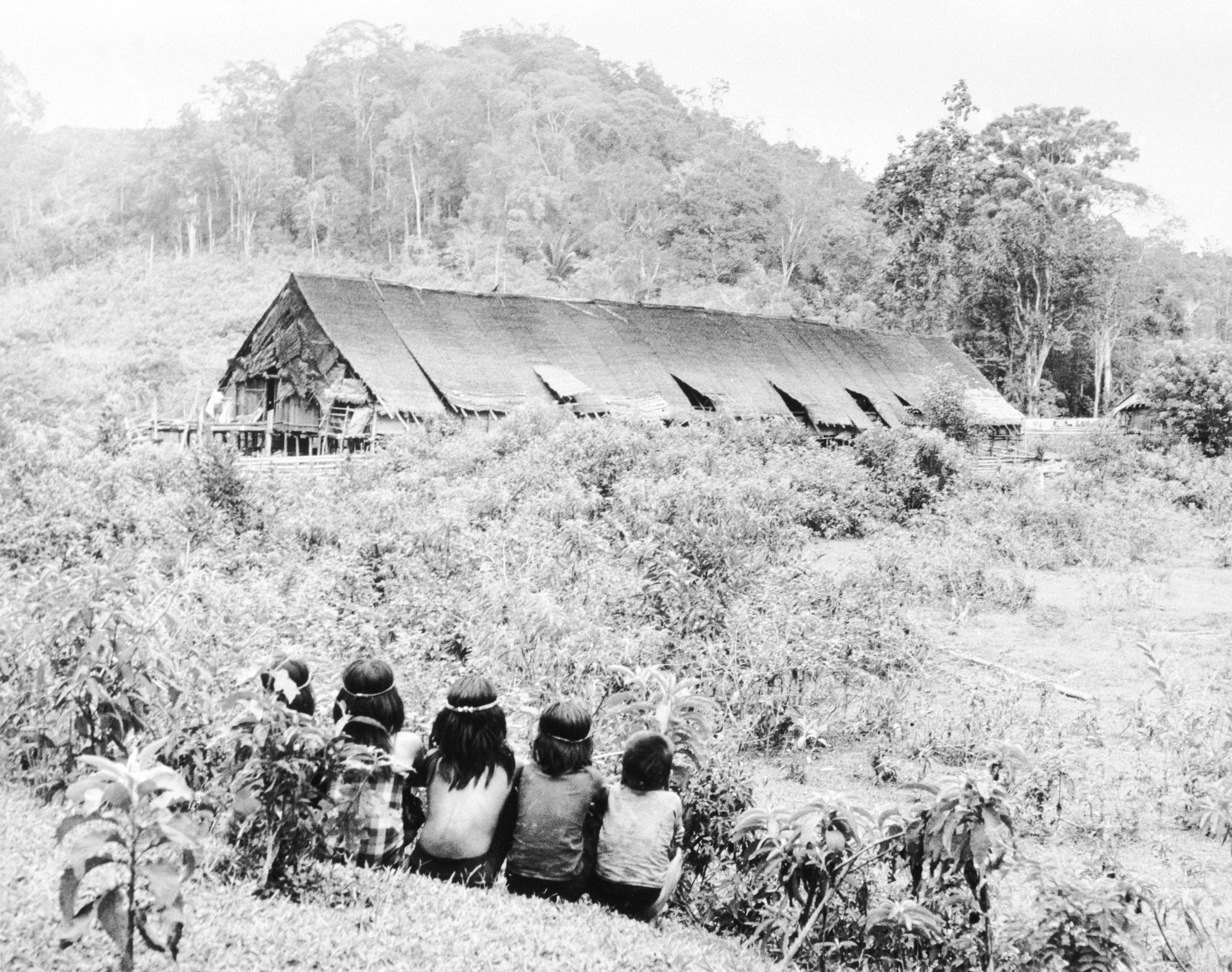 Powerhouse Collection - Collection of Hedda Morrison photographs
