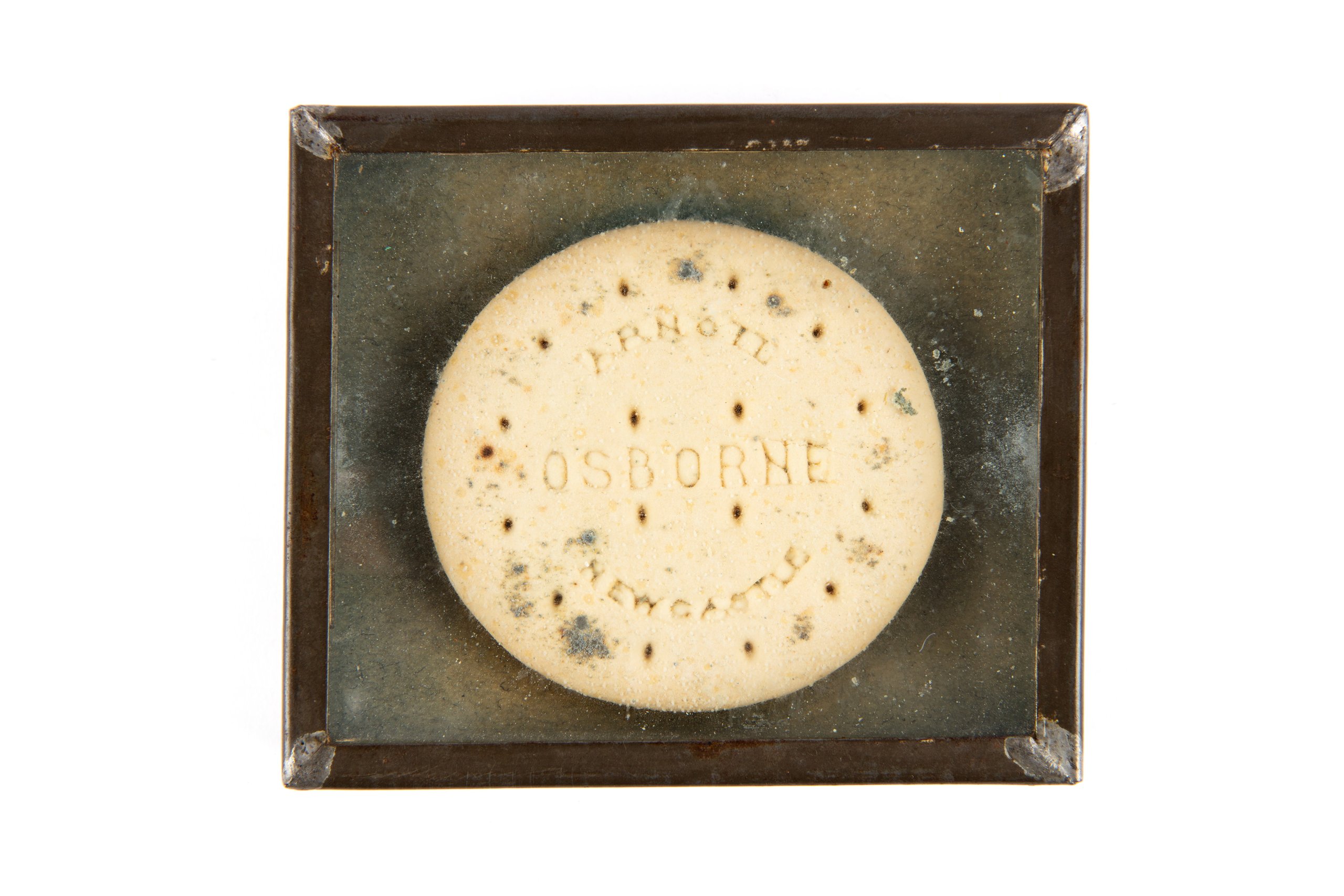 'Osborne' biscuit by William Arnott displayed at the All-Australian Exhibition
