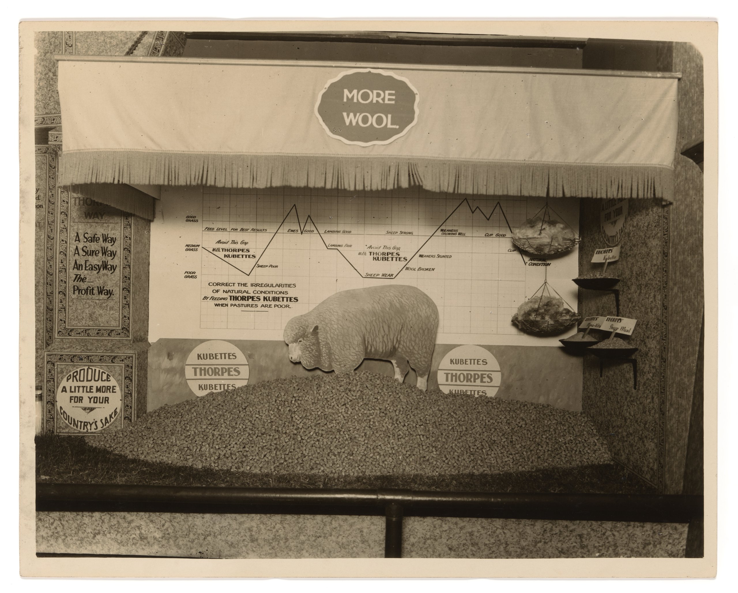 Photograph of promotional exhibit for Thorpes Ltd at Sydney Royal Easter Show
