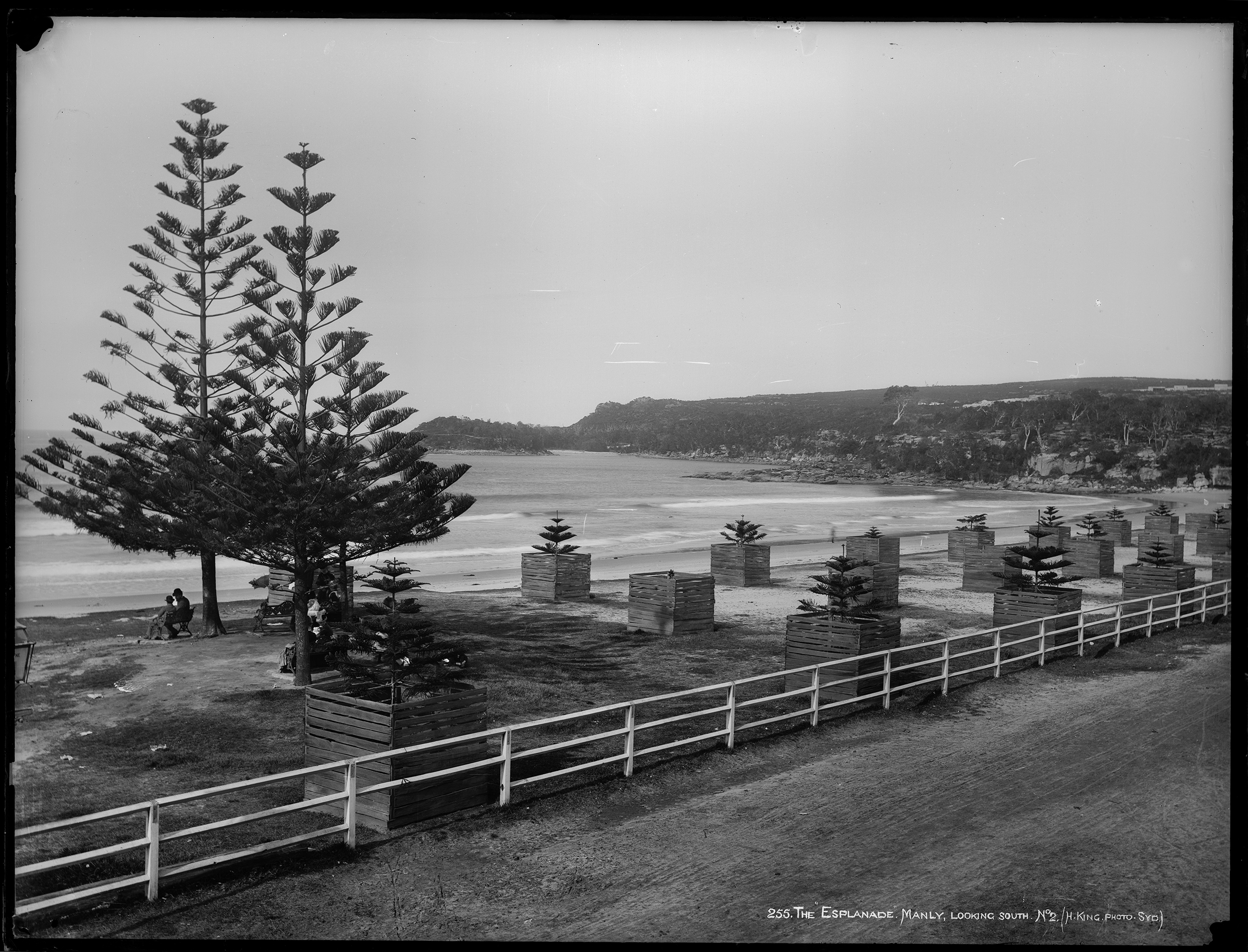 'The Esplanade, Manly, Looking South, No. 2' by Henry King