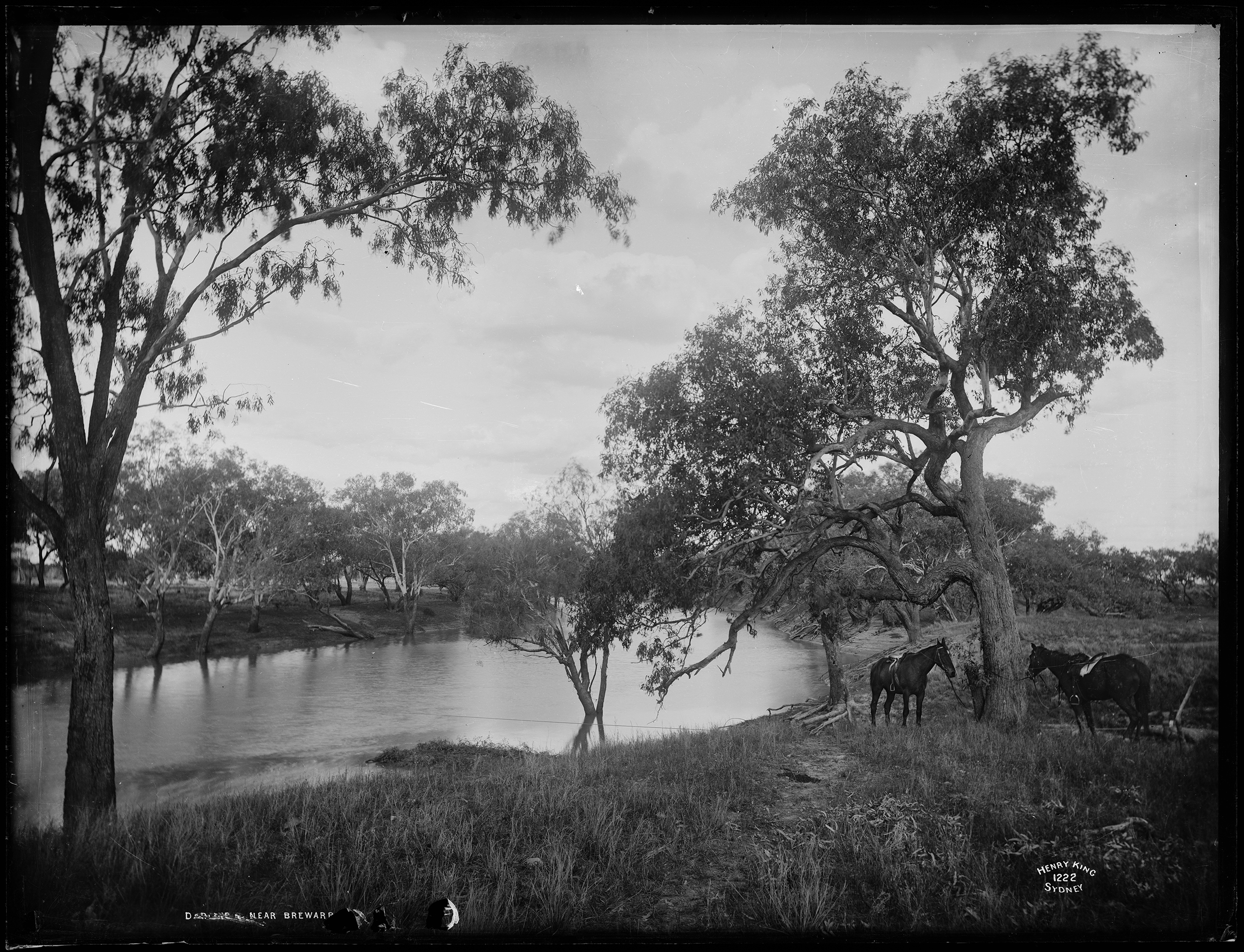 Glass plate negative of Darling River near Brewarrina, NSW, c.1880-1900