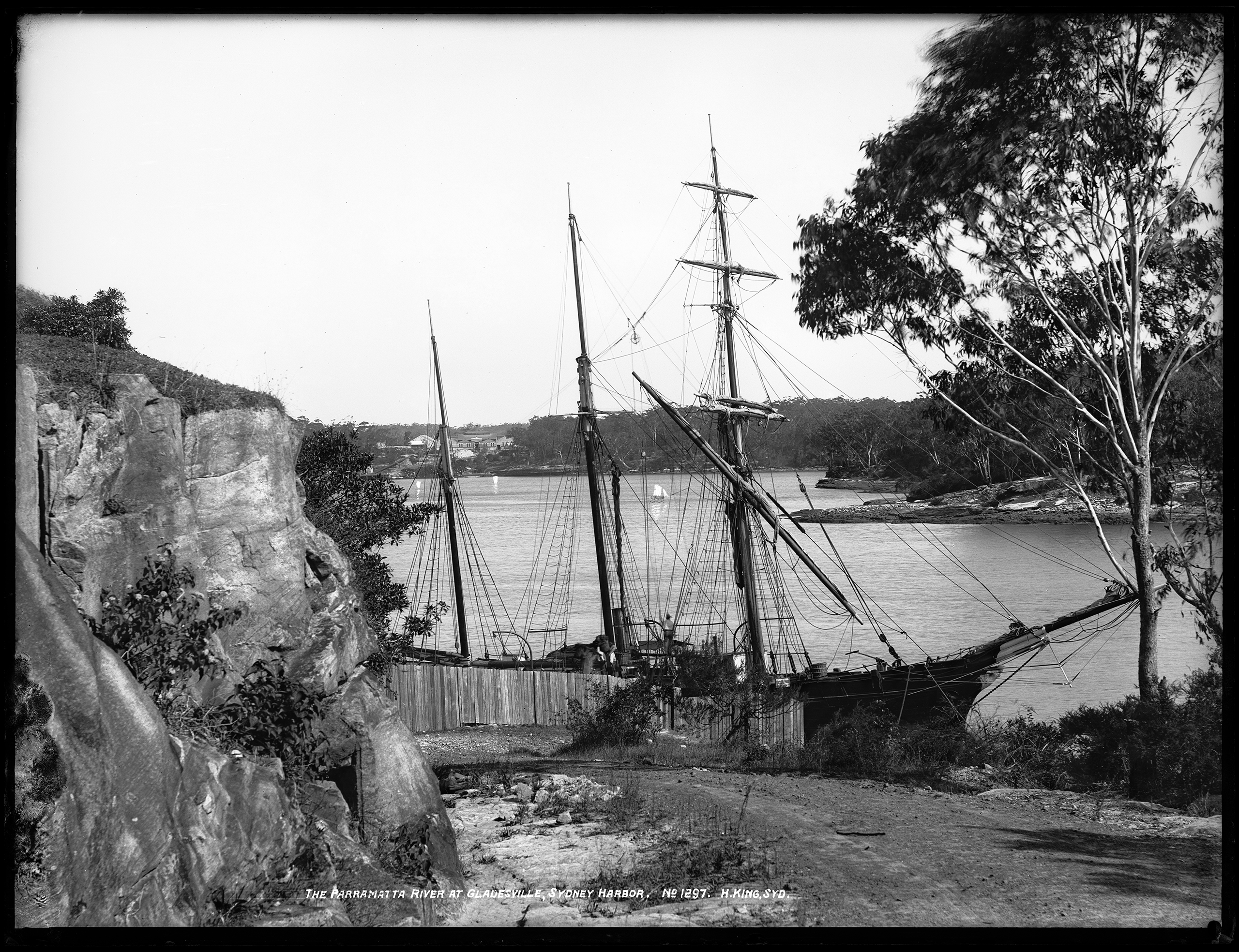 Glass plate negative of the Parramatta River at Gladesville by Henry King