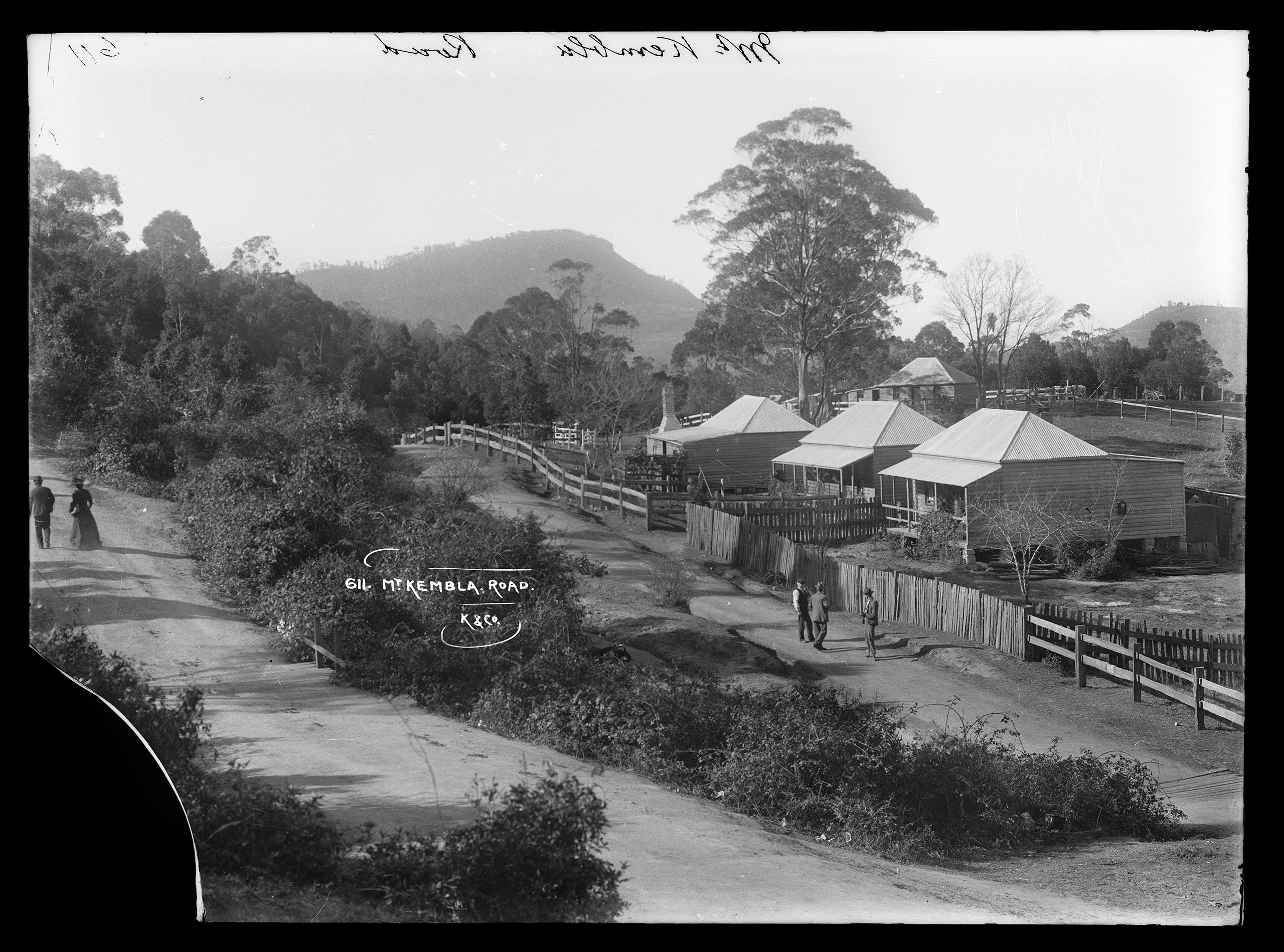 'Mt Kembla Road' by Kerry and Co from the Tyrrell collection