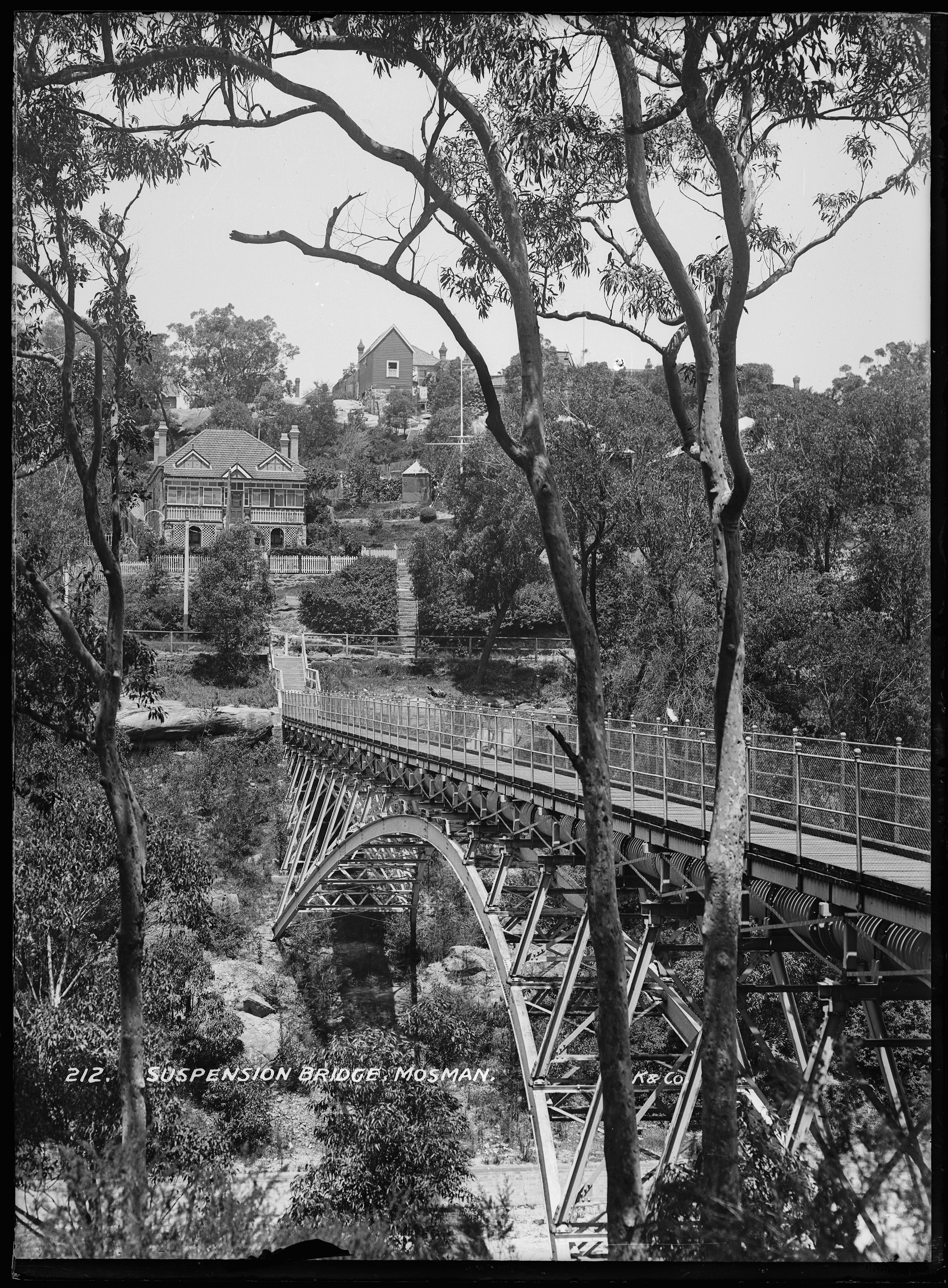 'Suspension bridge, Mosman' by Kerry and Co from the Tyrrell collection