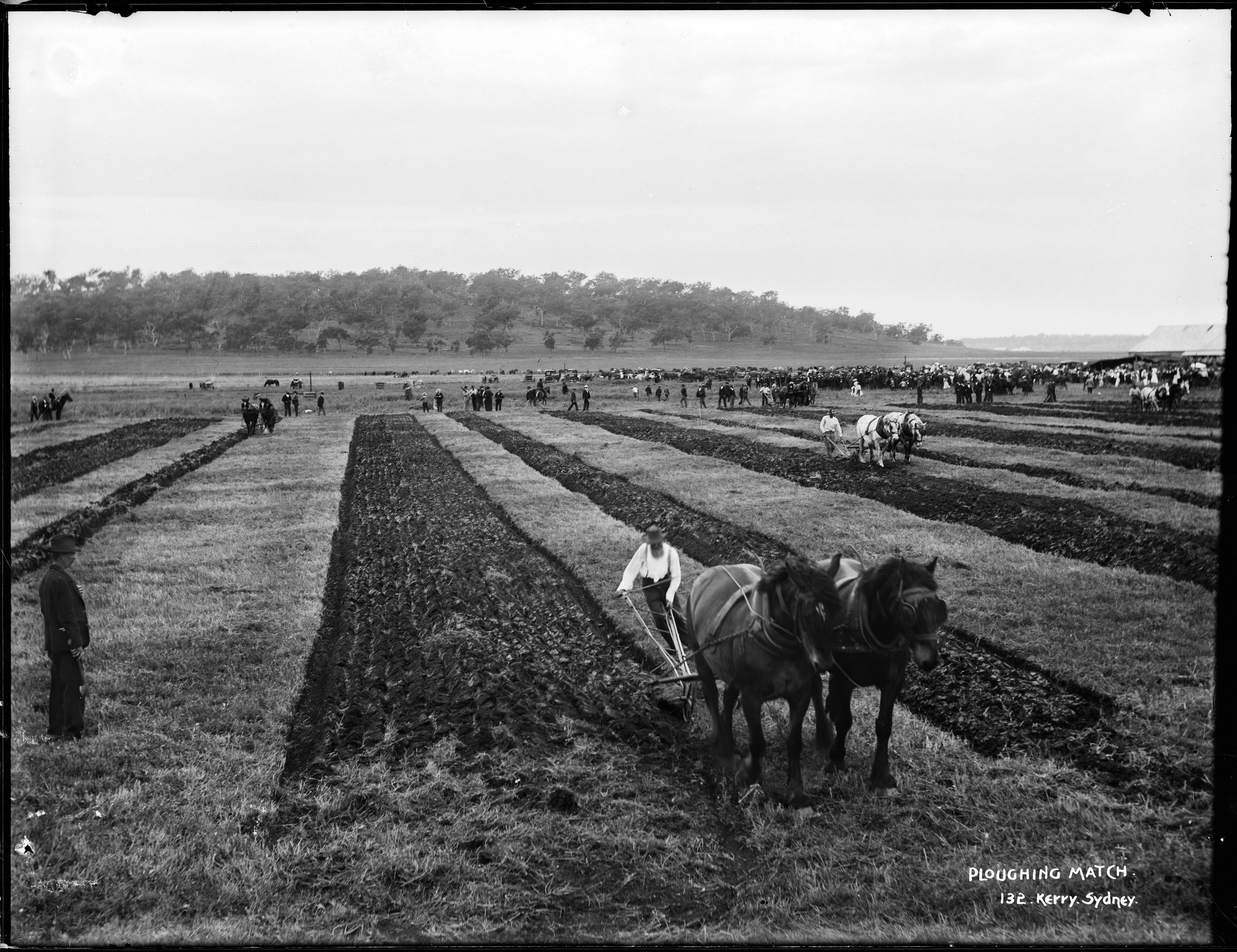 Photograph of a ploughing match