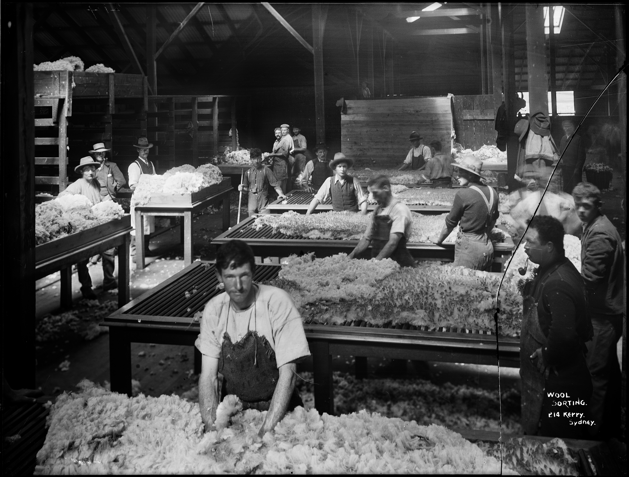 Farming hands sorting wool