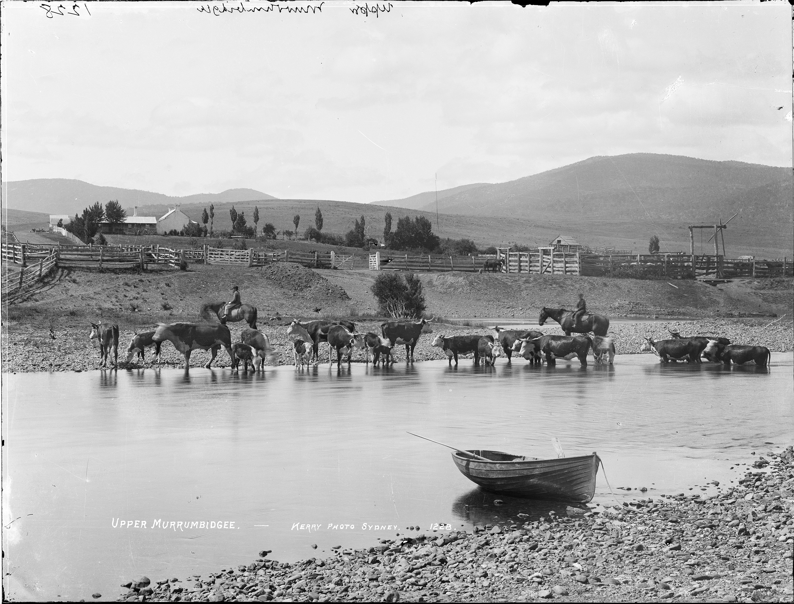 'Upper Murrumbidgee' by Kerry and Co from the Tyrrell Collection