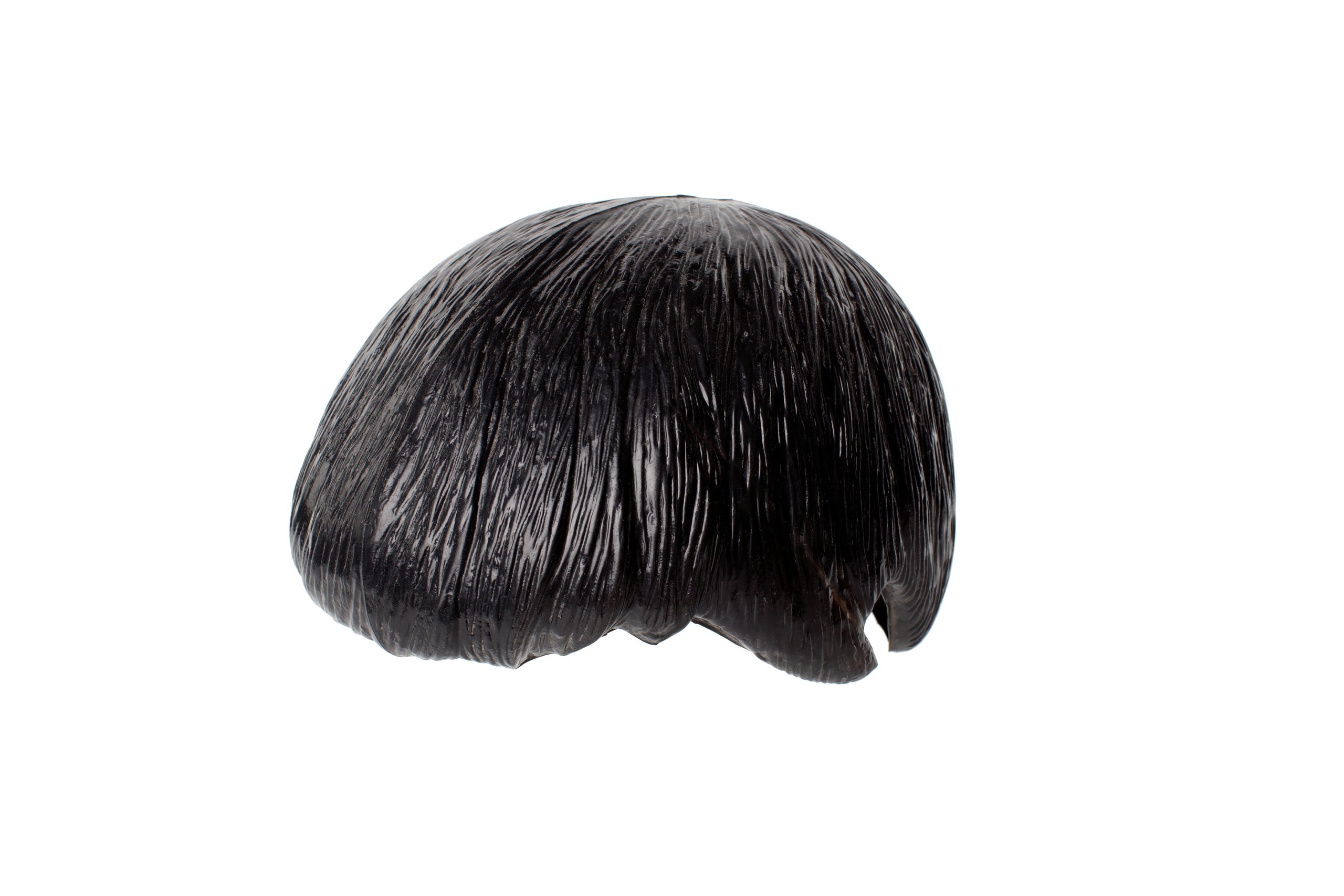 The Beatles wig