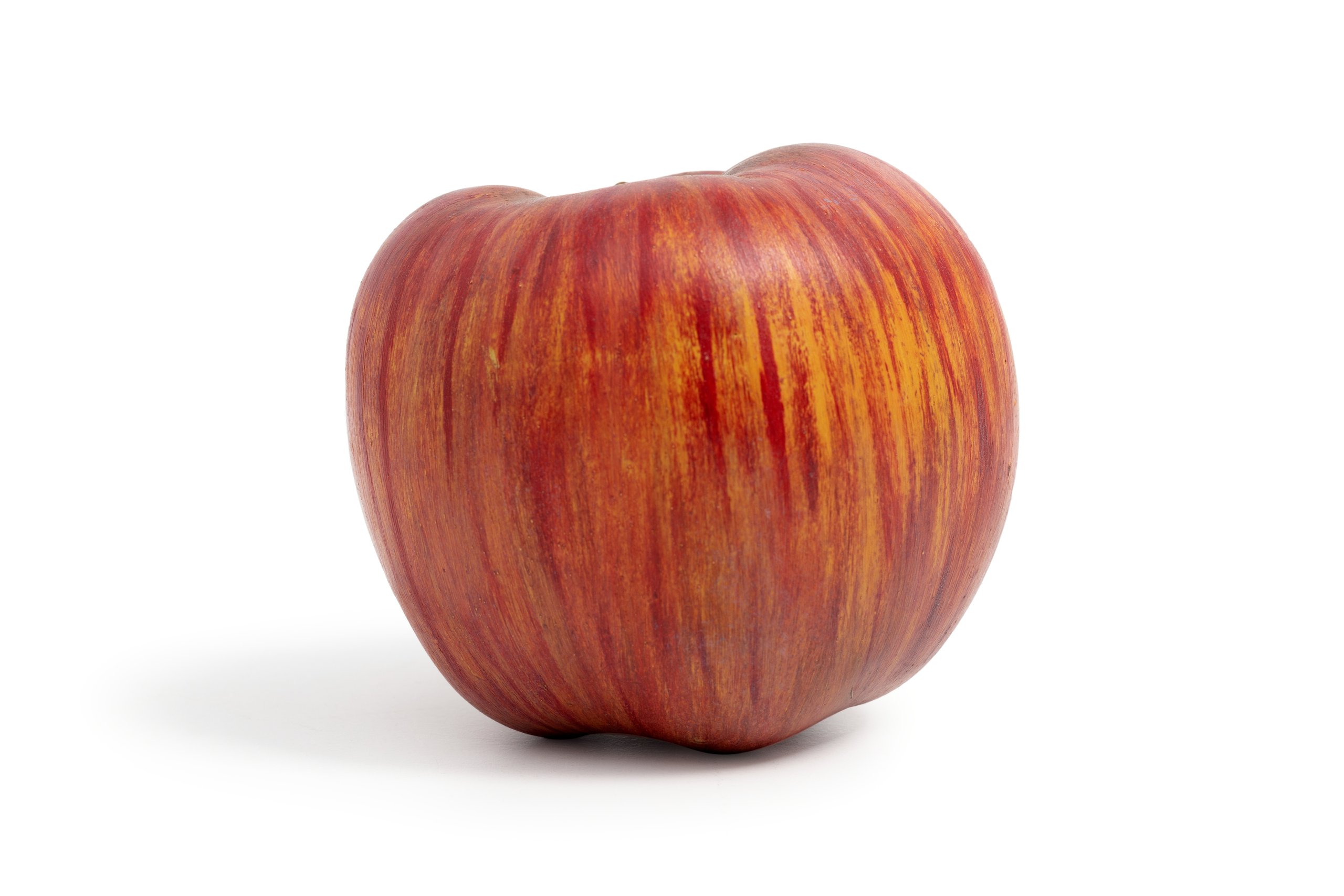 Model of a 'Moss Incomparable' apple