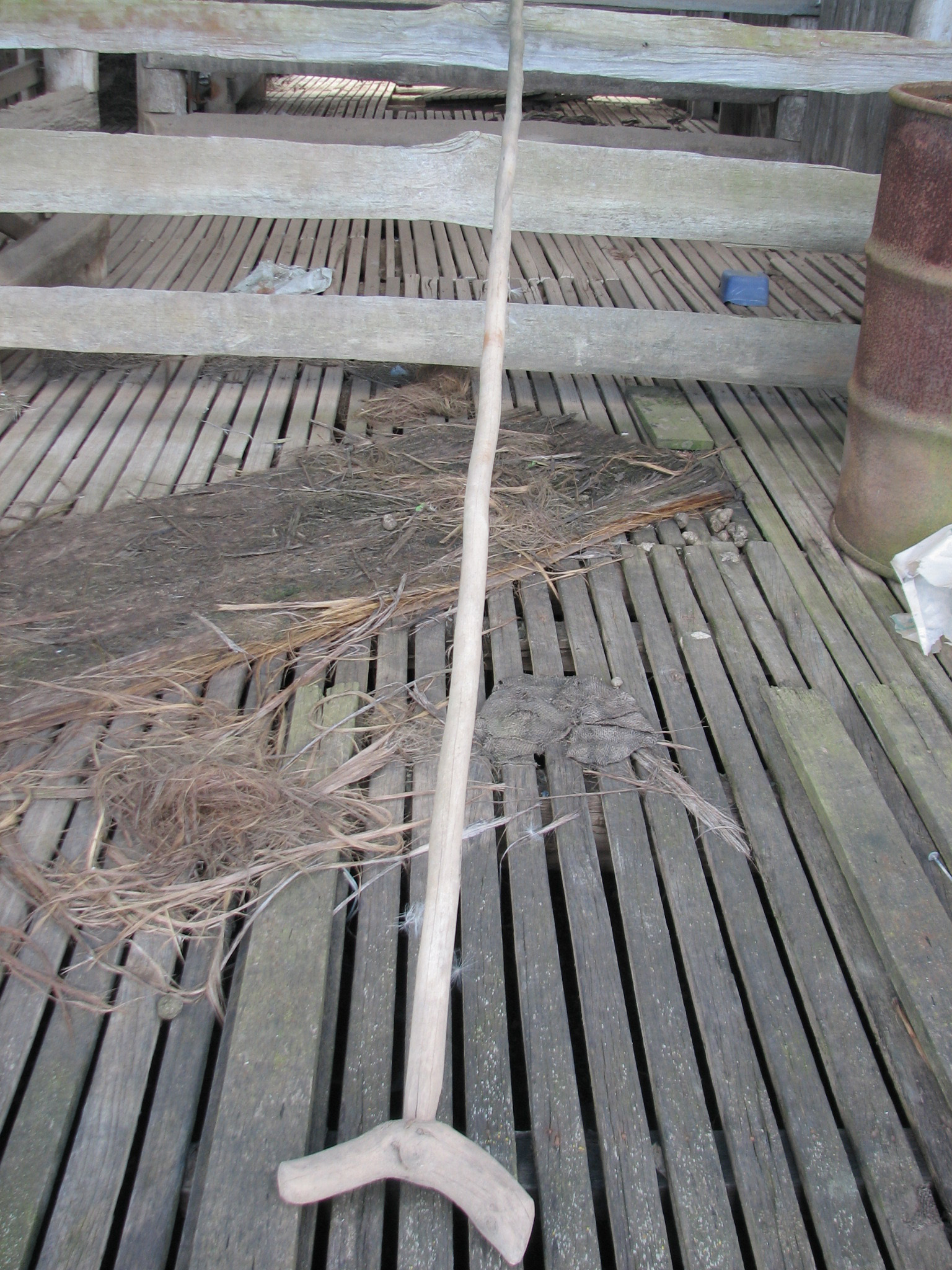 Sheep dipping stick used on 'Wanganderry', near Mittagong, NSW
