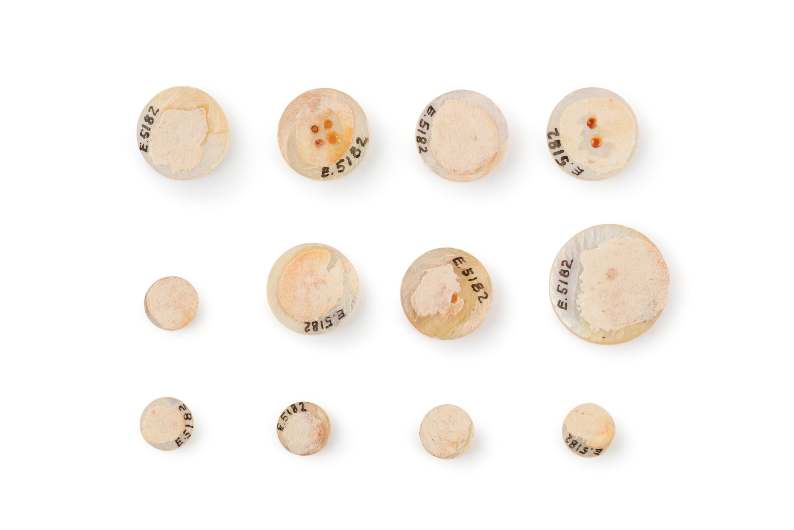 A didactic display illustrating pearl button manufacture