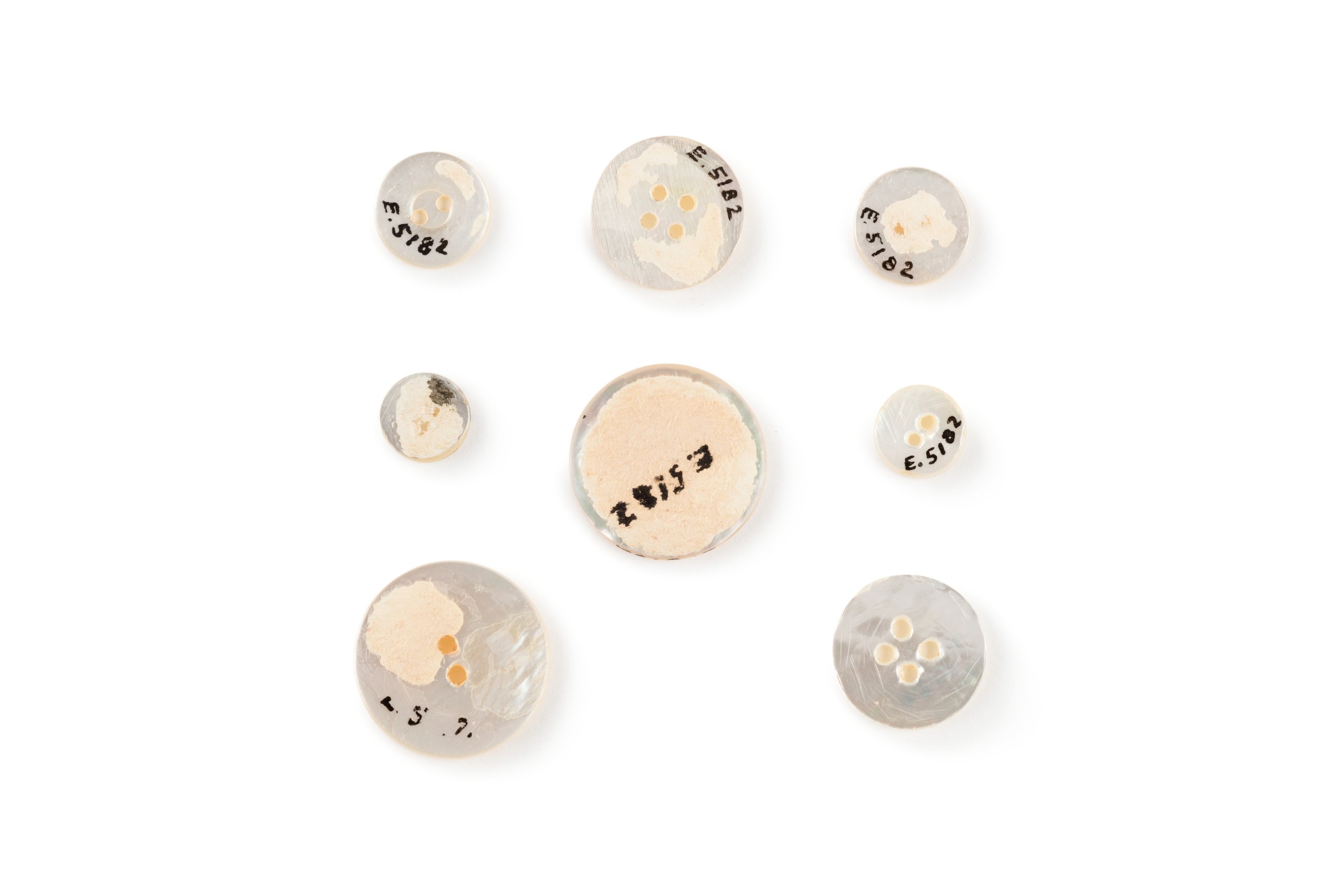 A didactic display illustrating pearl button manufacture