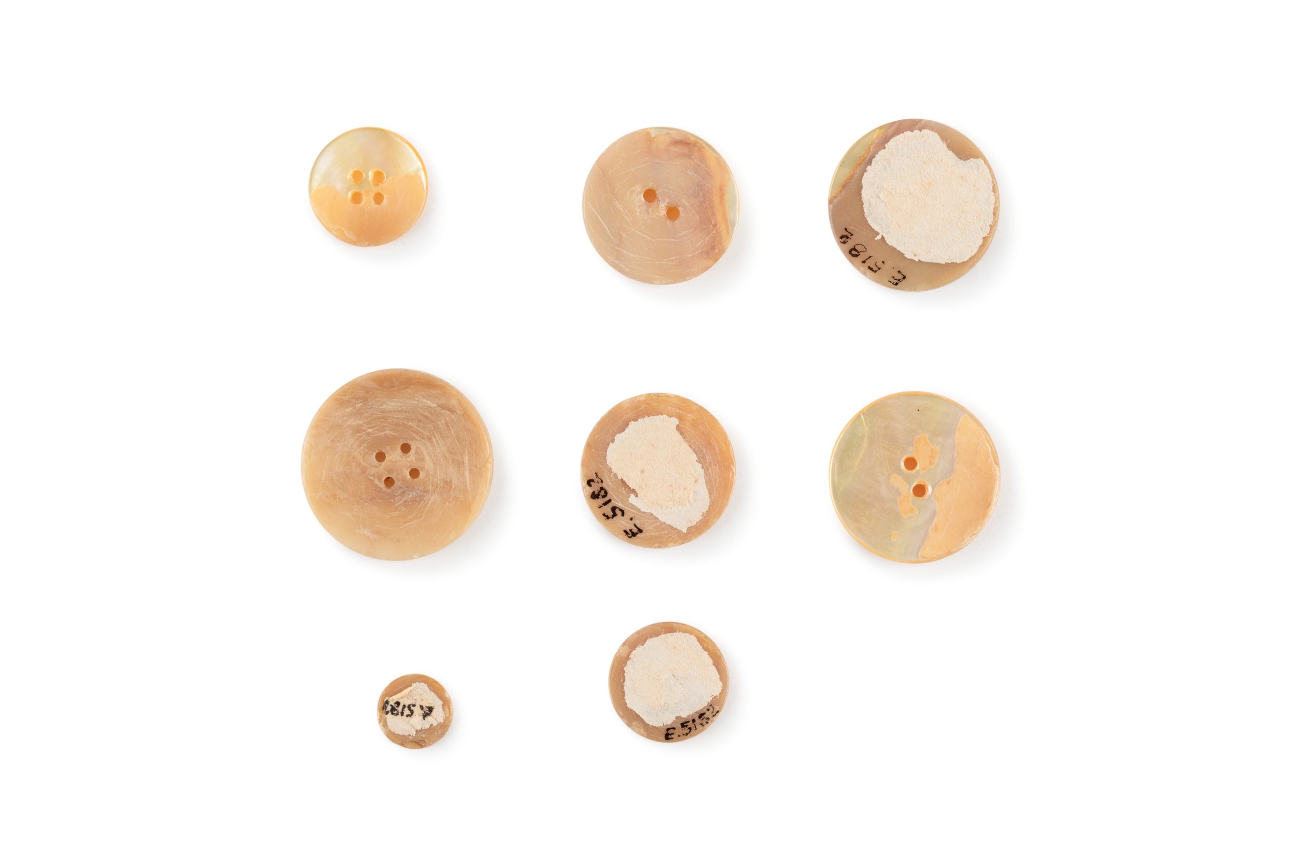 A didactic display illustrating pearl button manufacture
