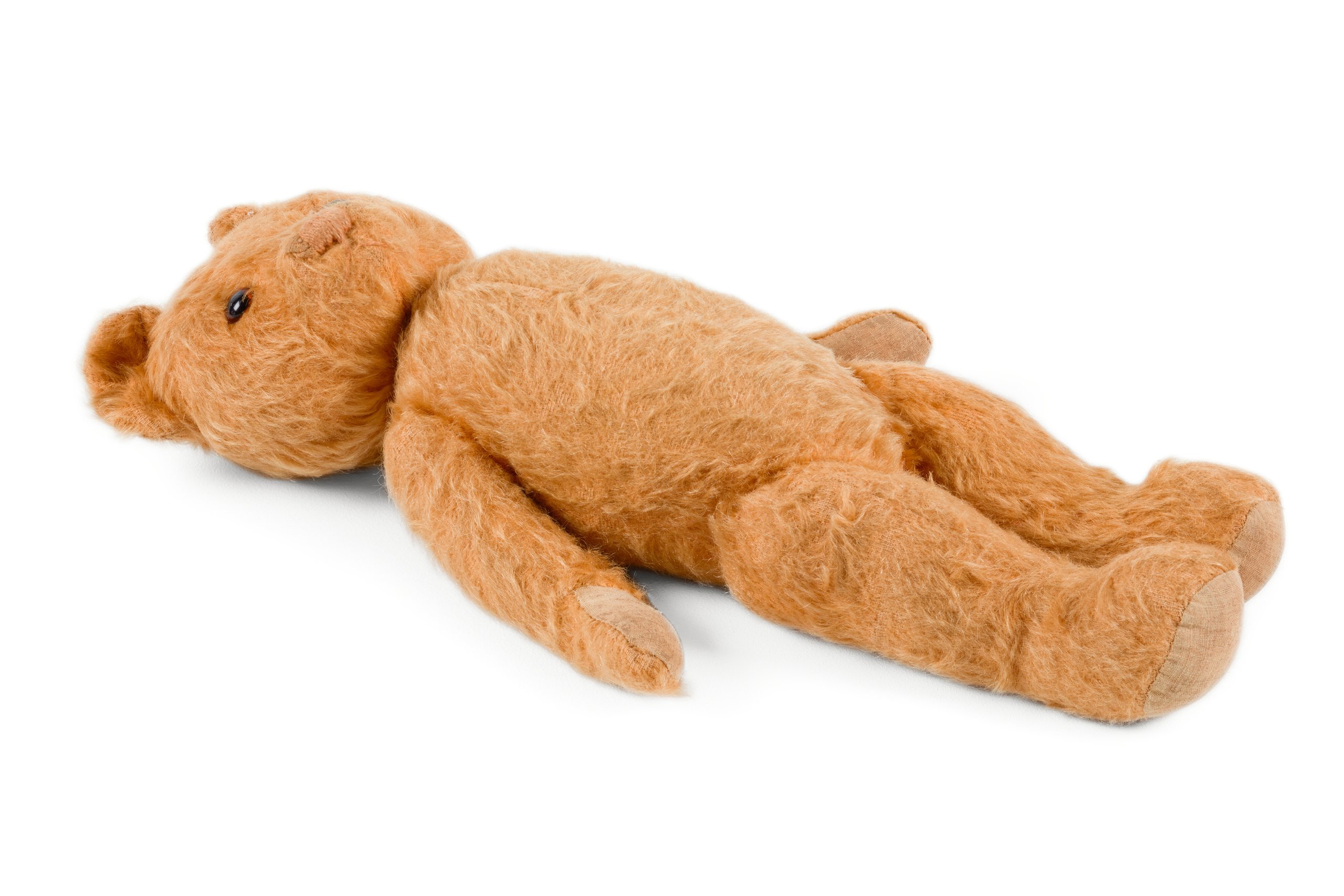 Farnell teddy bears 2025