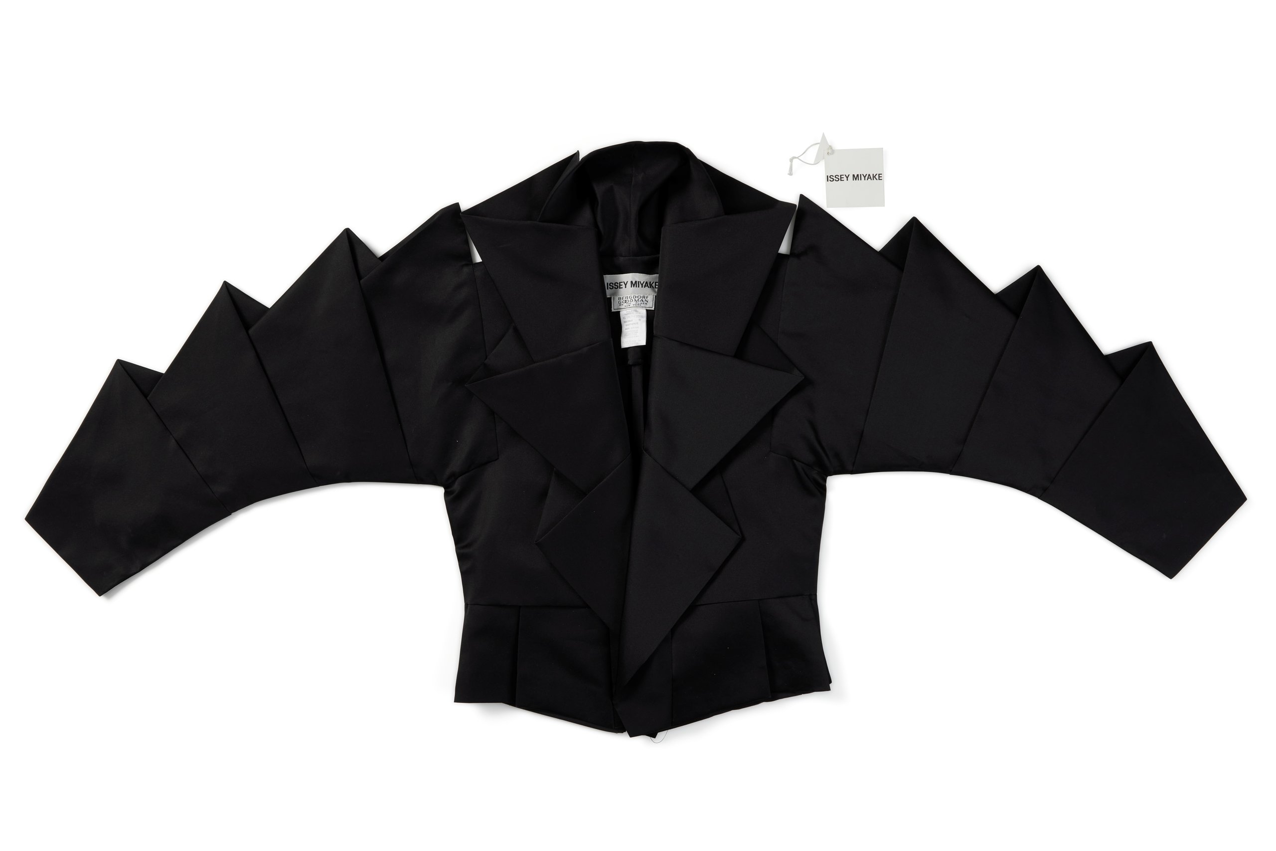 'Dinosaur' jacket by Issey Miyake Inc
