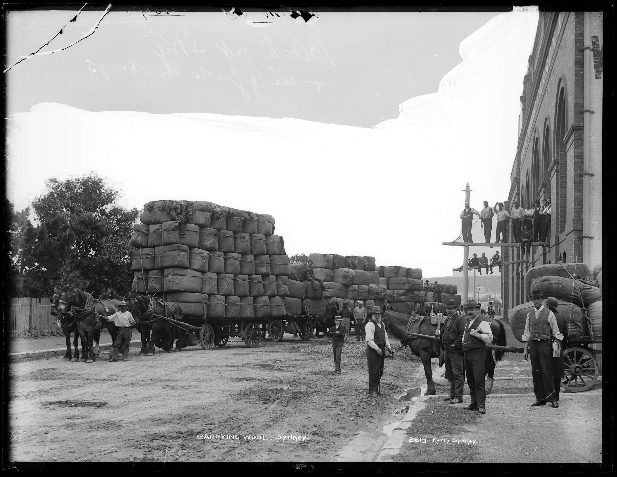 'Carrying wool, Sydney' glass plate negative by Kerry and Co