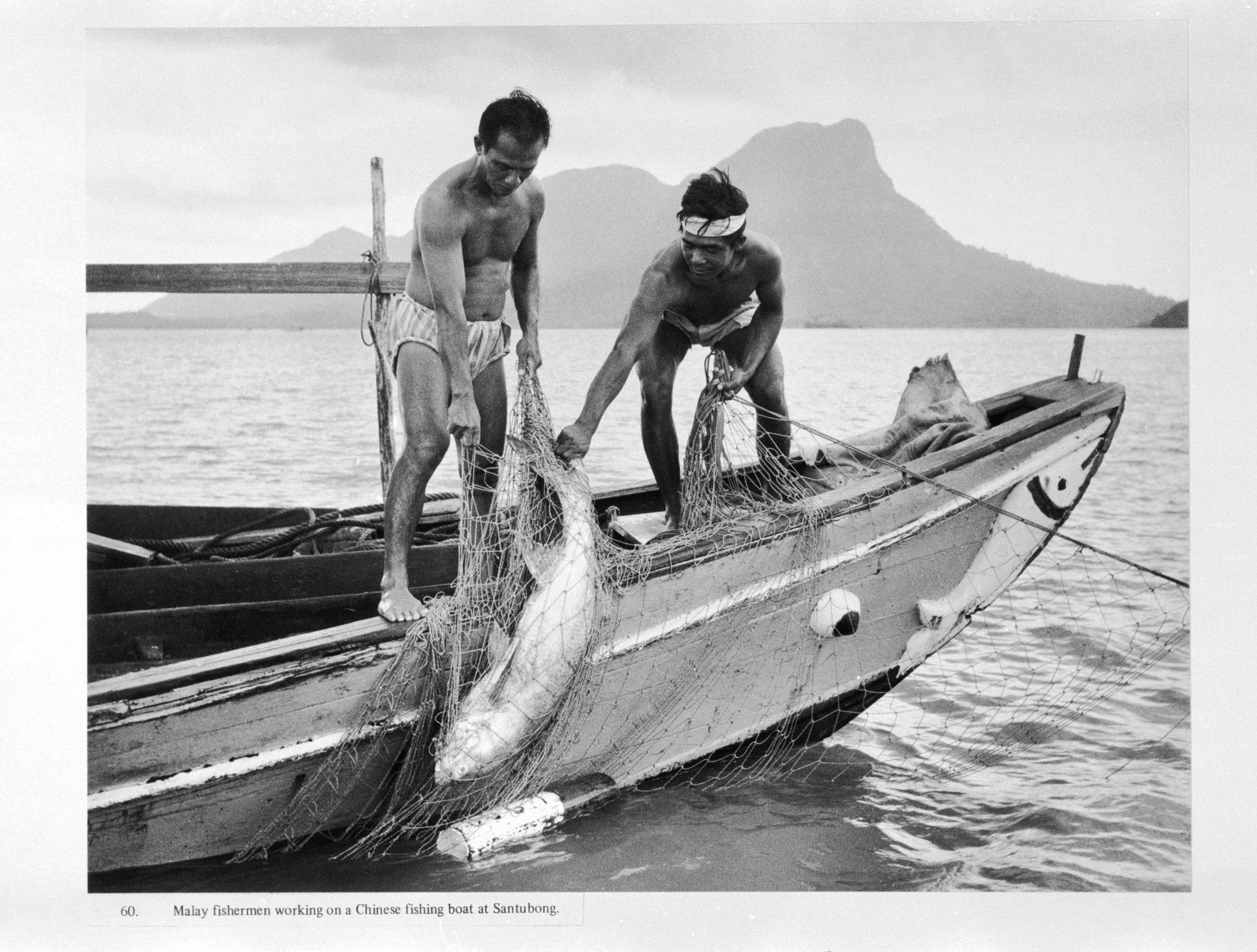Powerhouse Collection - Collection of Hedda Morrison photographs