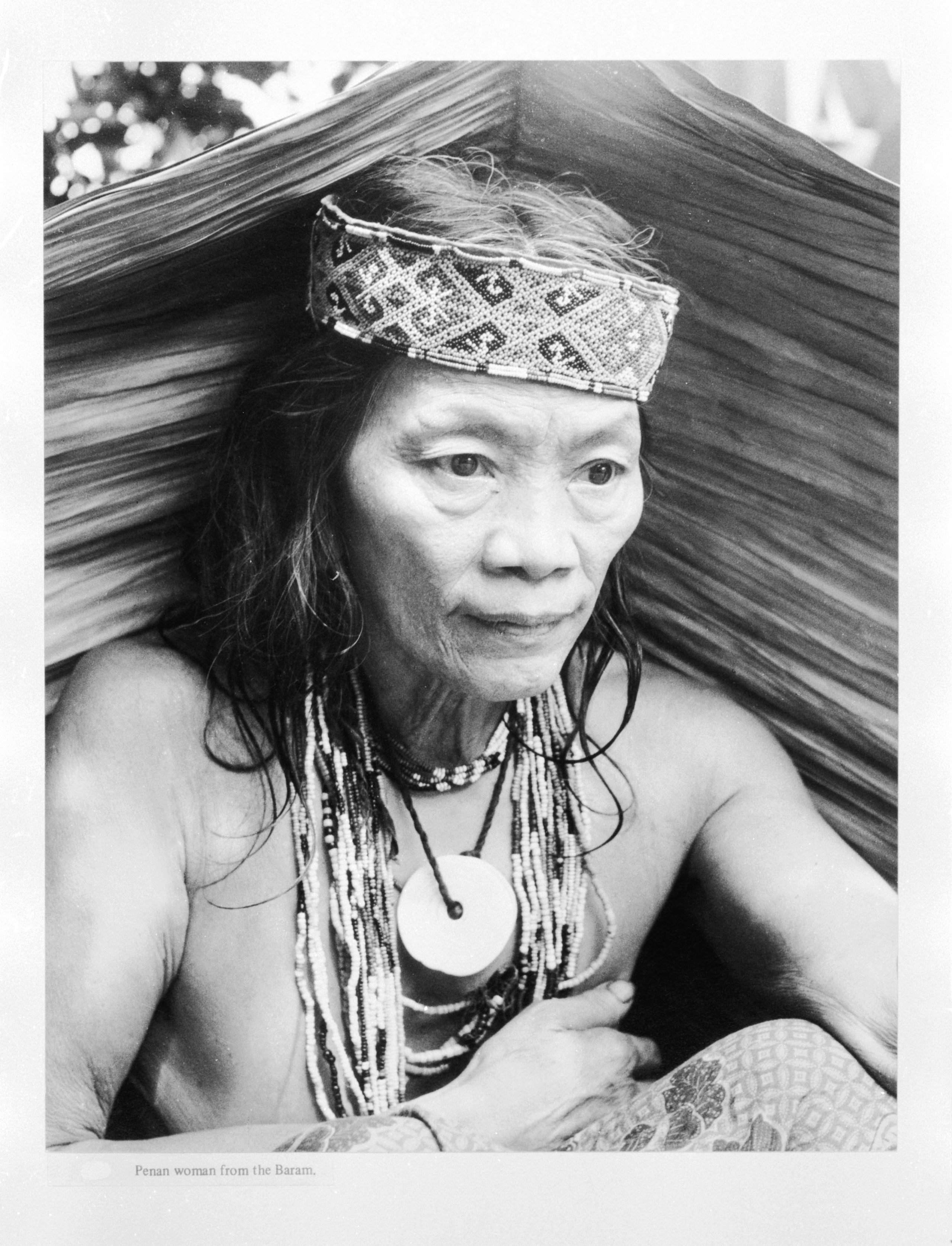 Powerhouse Collection - Collection of Hedda Morrison photographs