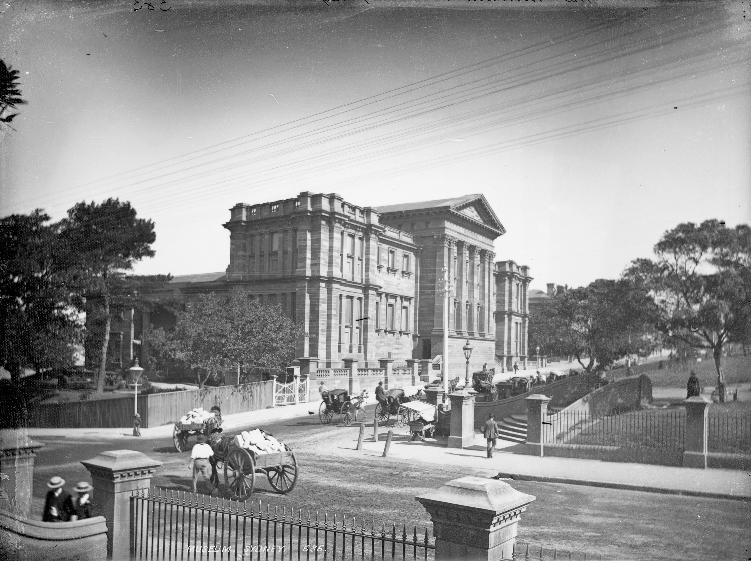 Glass plate negative 'Museum, Sydney' by Kerry and Co