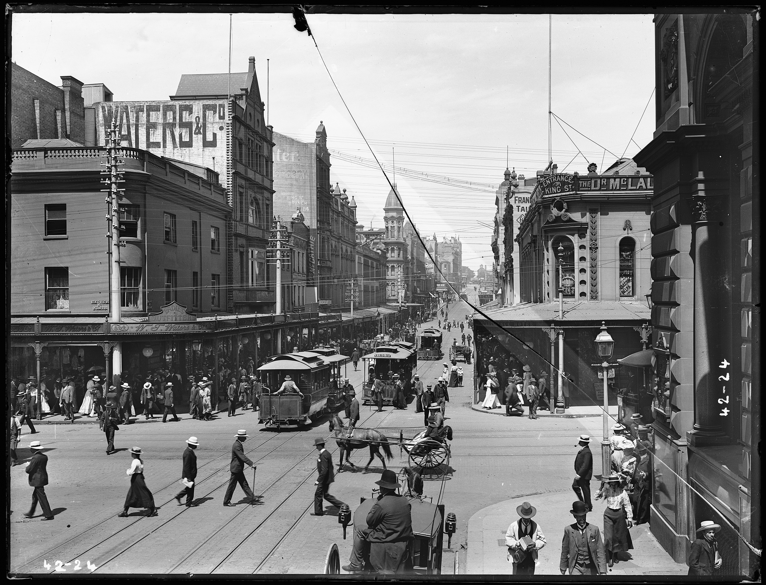 'Trams, King Street, Sydney' glass plate negative from the Tyrrell Collection