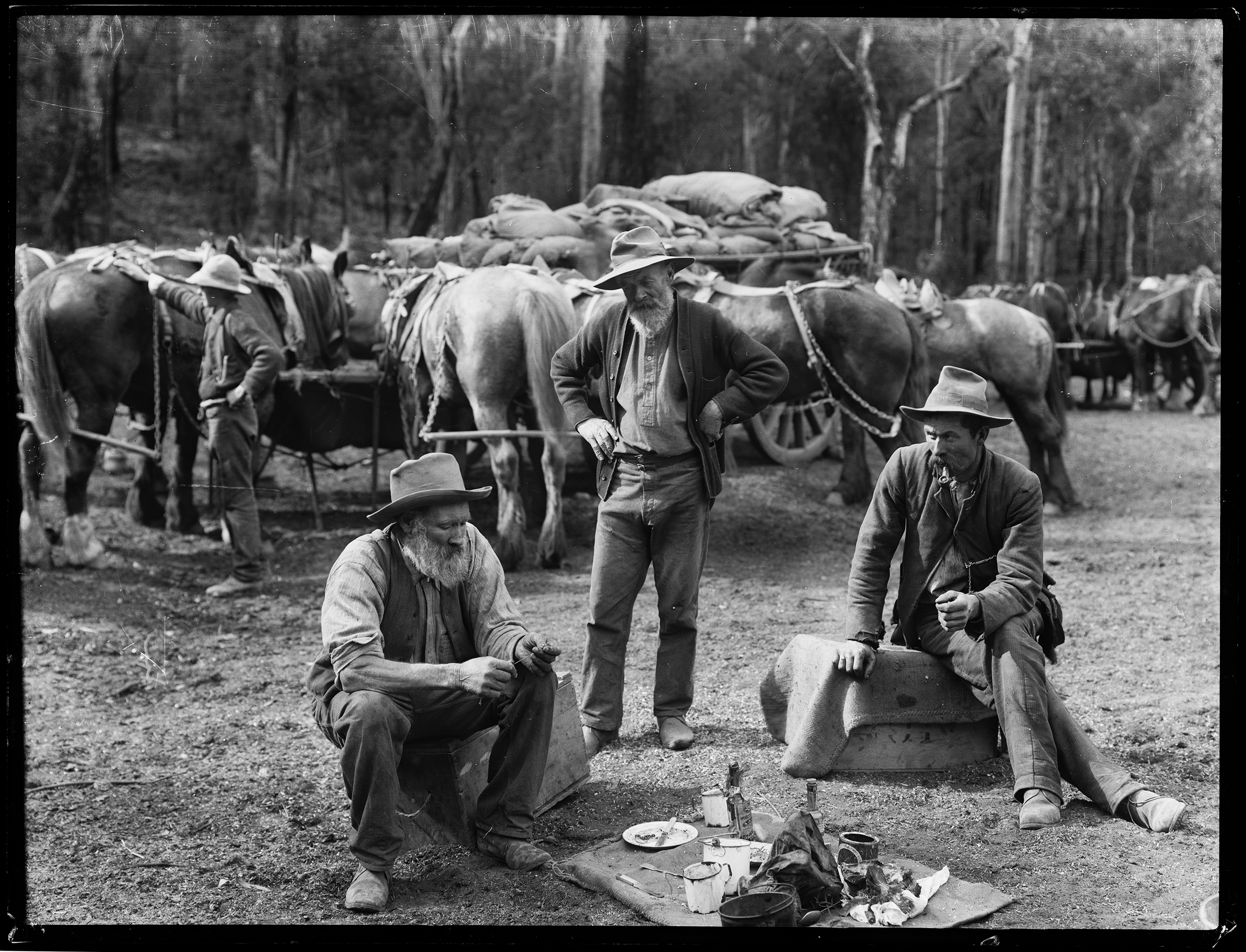Glass plate negative, 'Meal Break for Teamsters and Horses' by unattributed studio, Tyrrell Collection