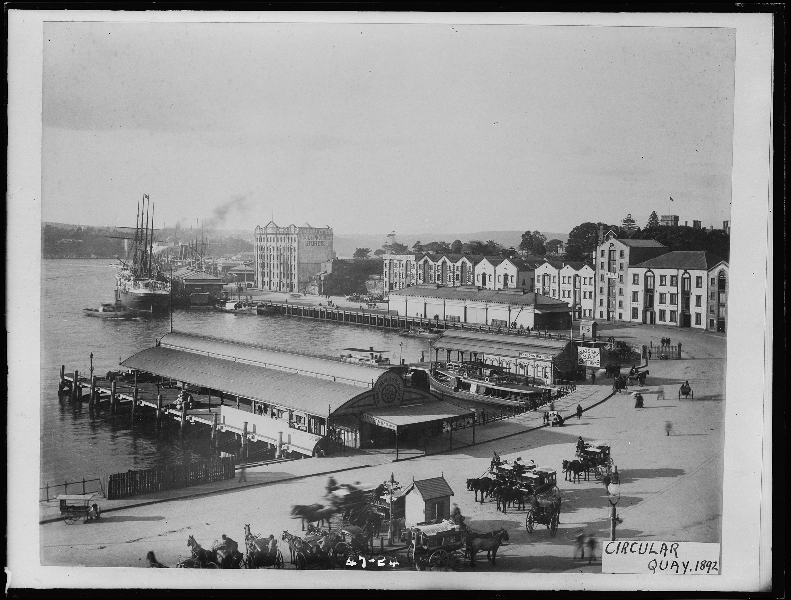 Glass plate negative of Sydney's Circular Quay showing wool stores and horse buses and hansom cabs in Alfred Street, 1892