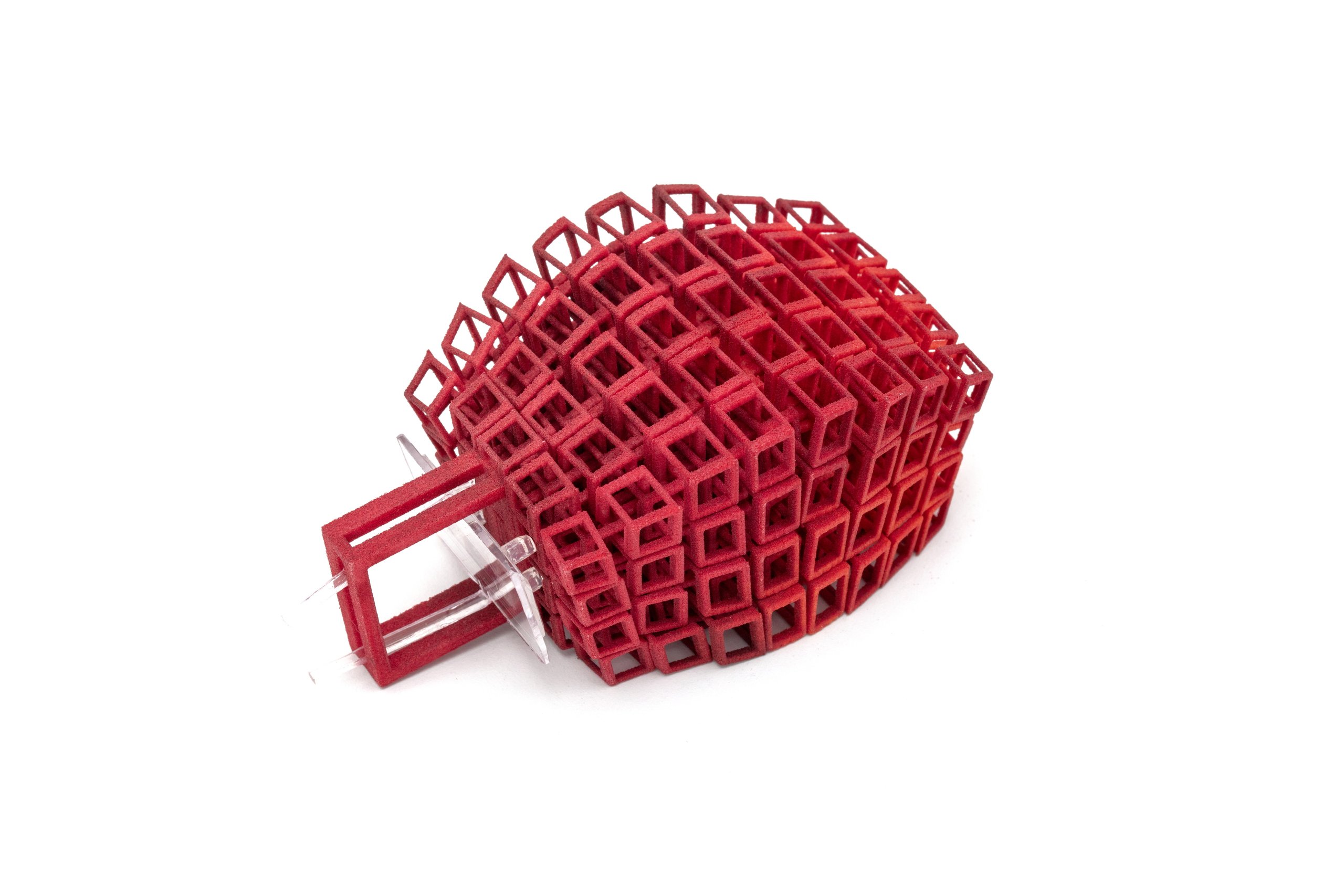 3D printed ring by Bin Dixon-Ward