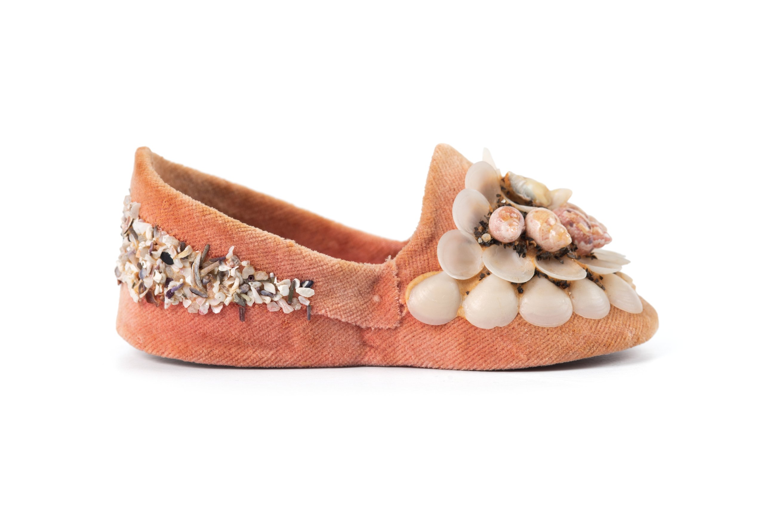 Miniature shell slippers from La Perouse