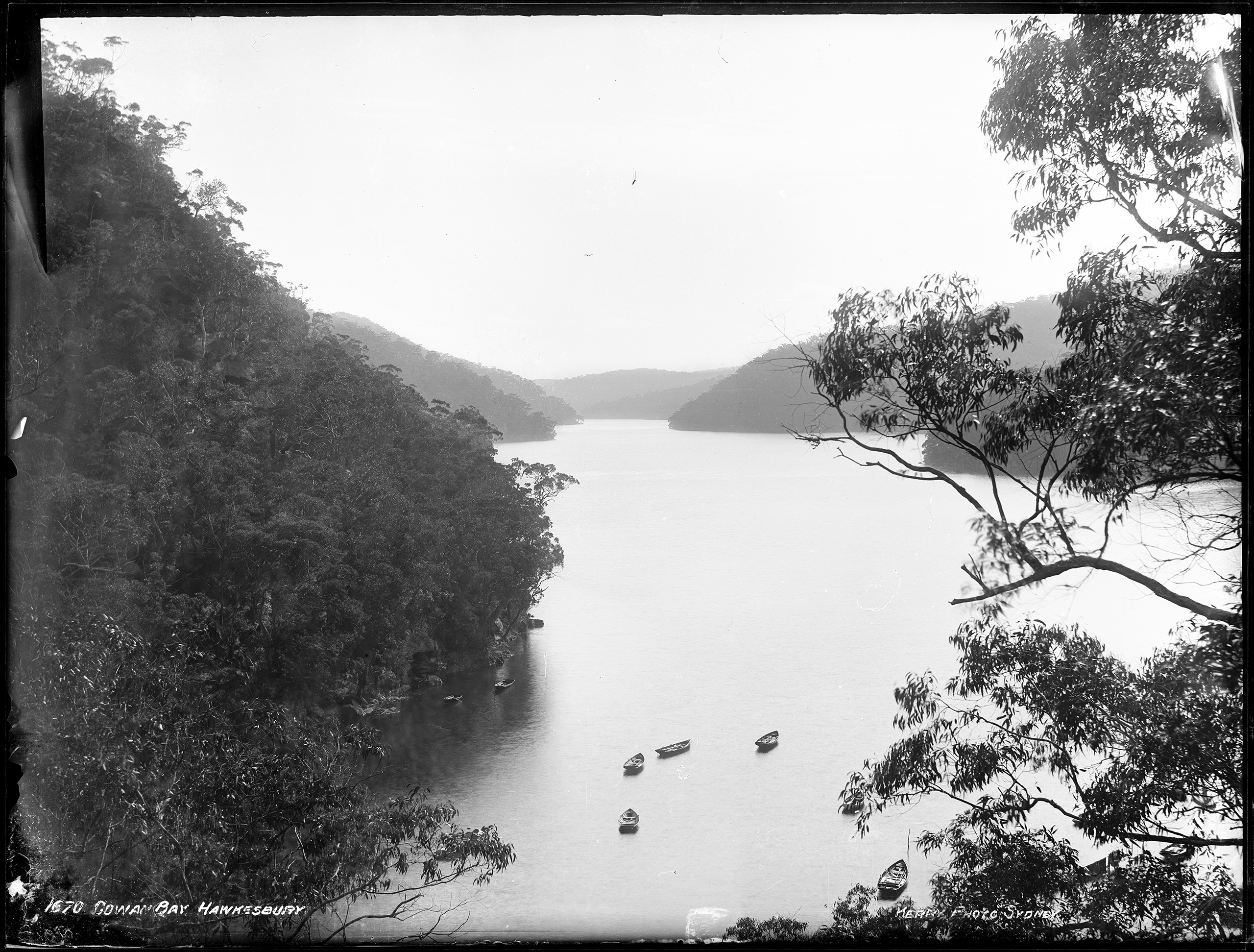 'Cowan Bay, Hawkesbury' by Kerry and Co from the Tyrrell Collection