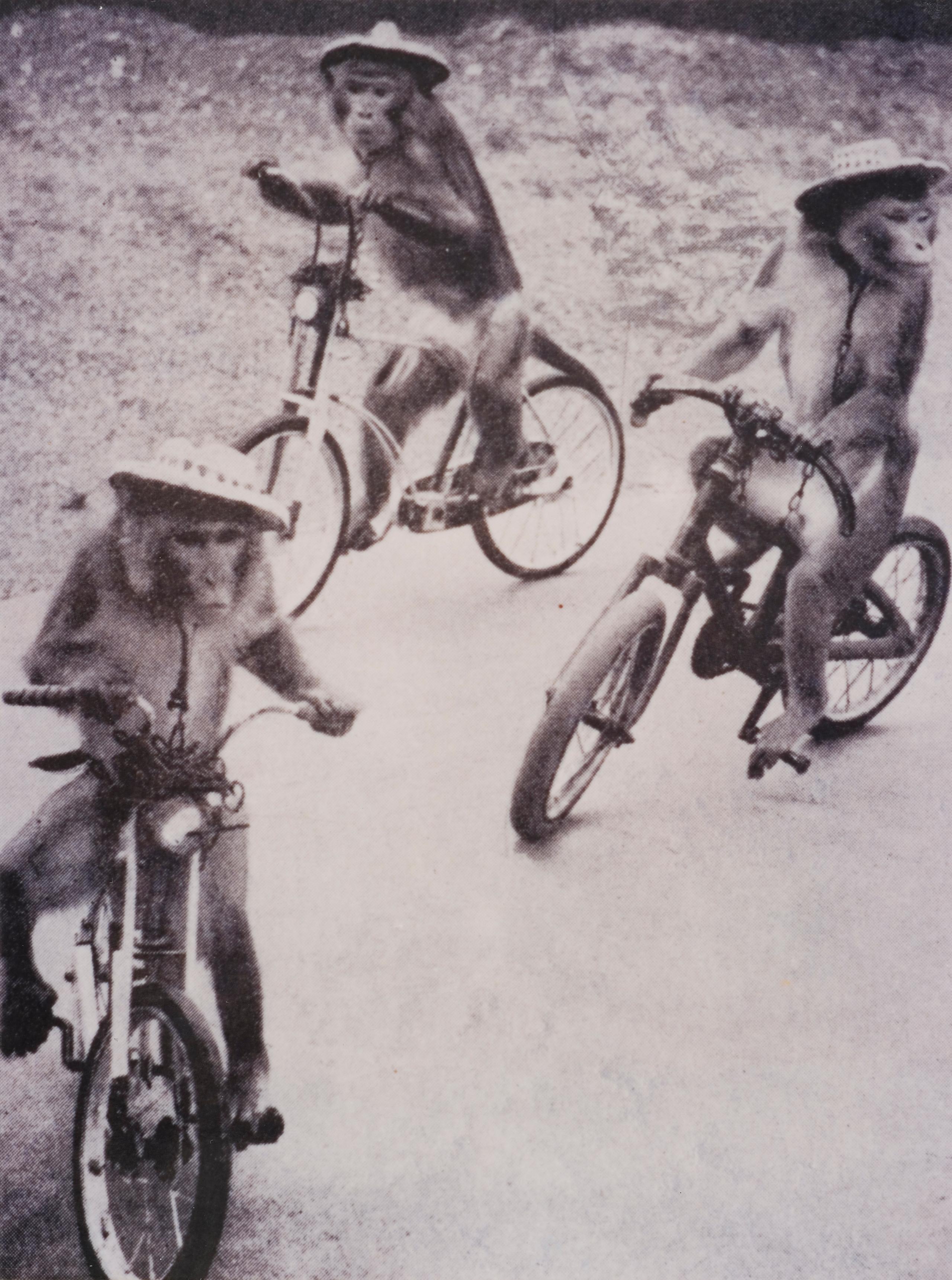 Powerhouse Collection Edworthy monkey bicycle