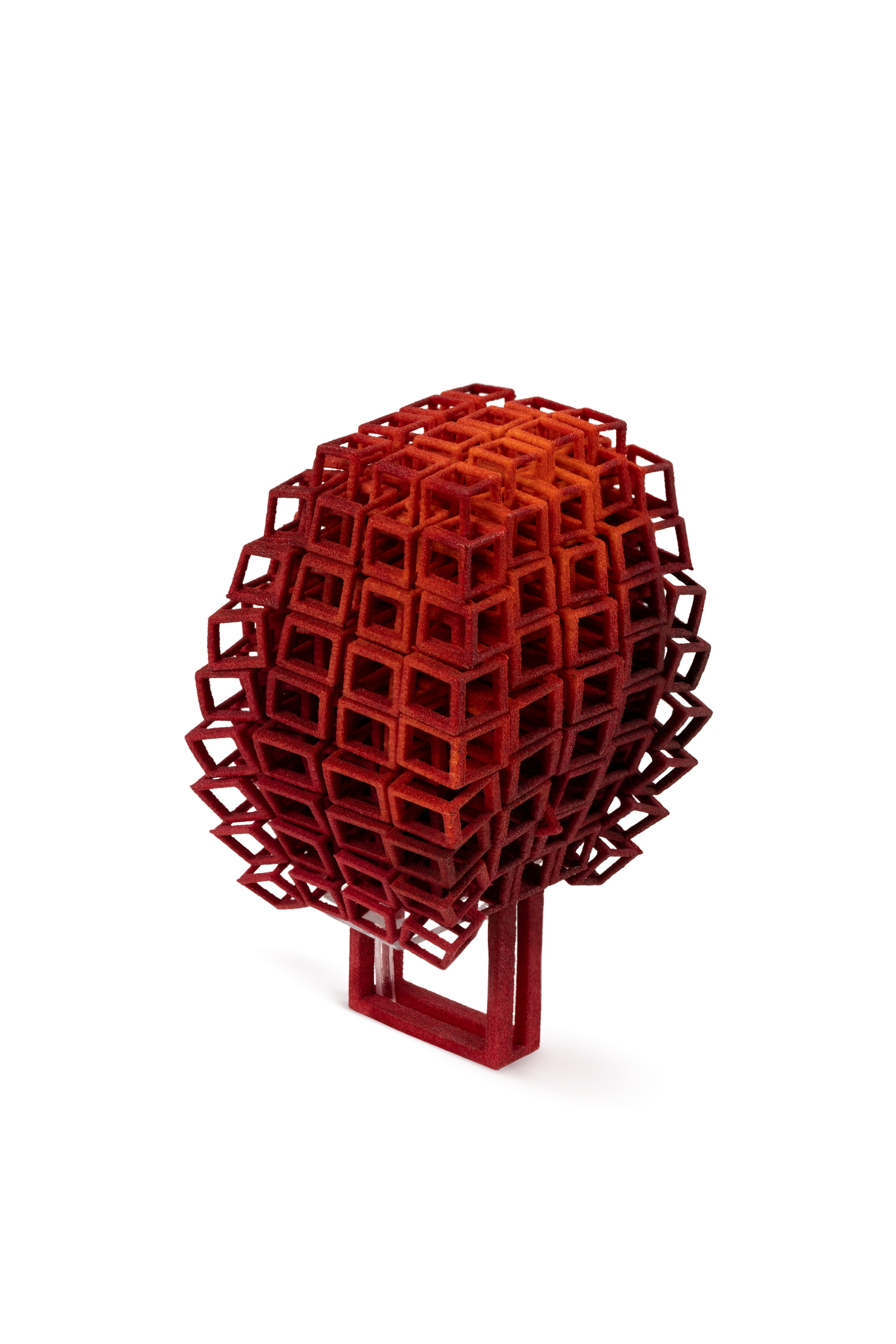 3D printed ring by Bin Dixon-Ward
