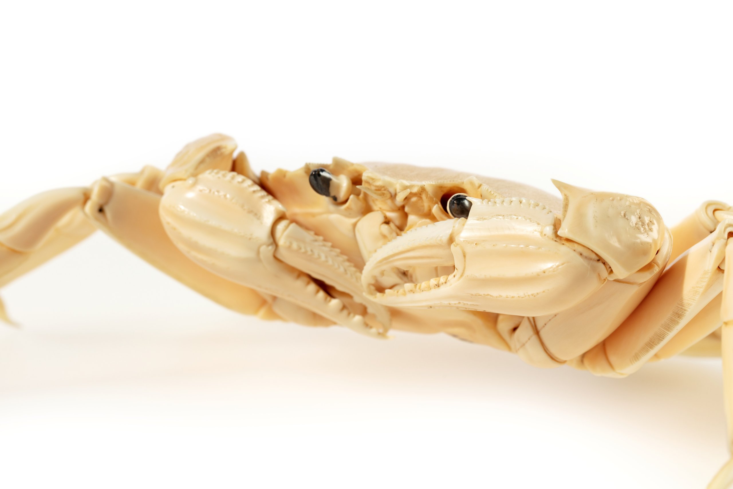 Carved ivory crab figure