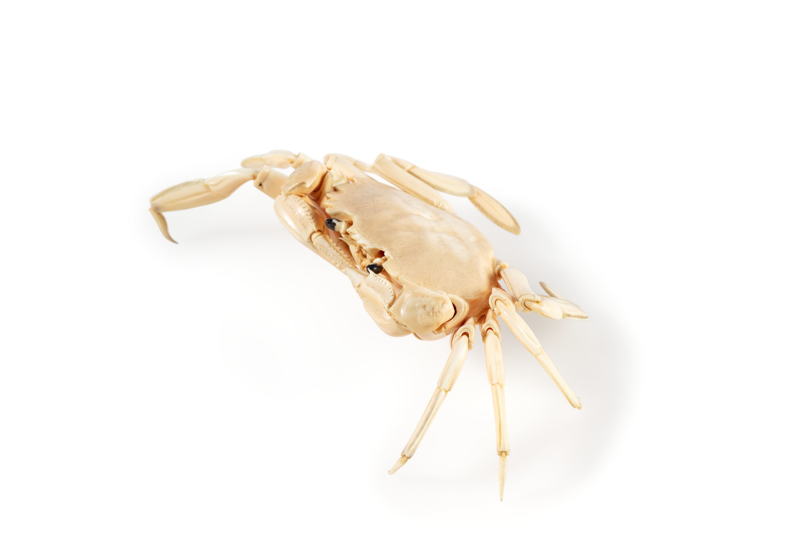 Carved ivory crab figure