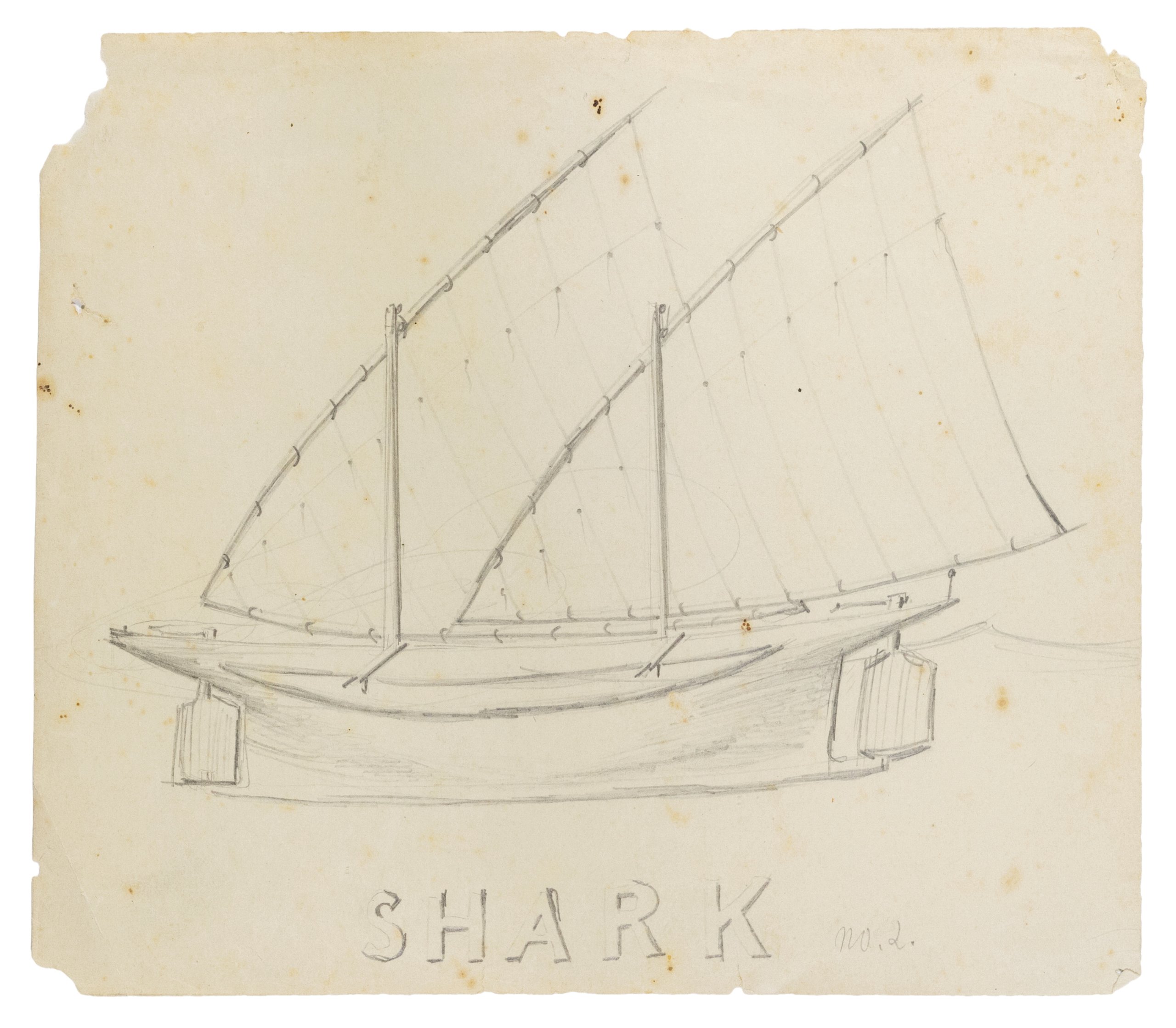 'The Shark No.2' drawing by Lawrence Hargrave