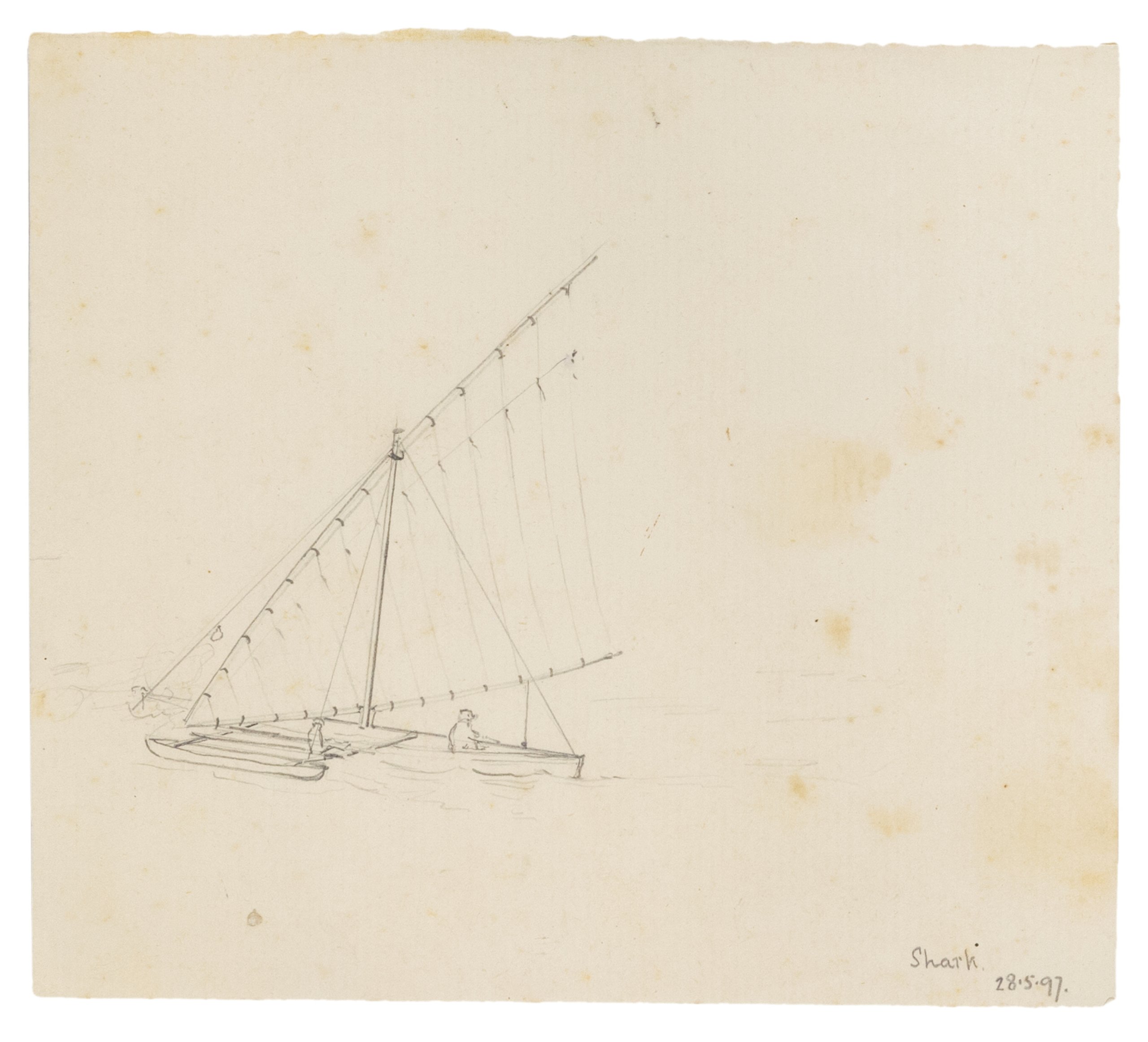 'Shark' drawing by Lawrence Hargrave