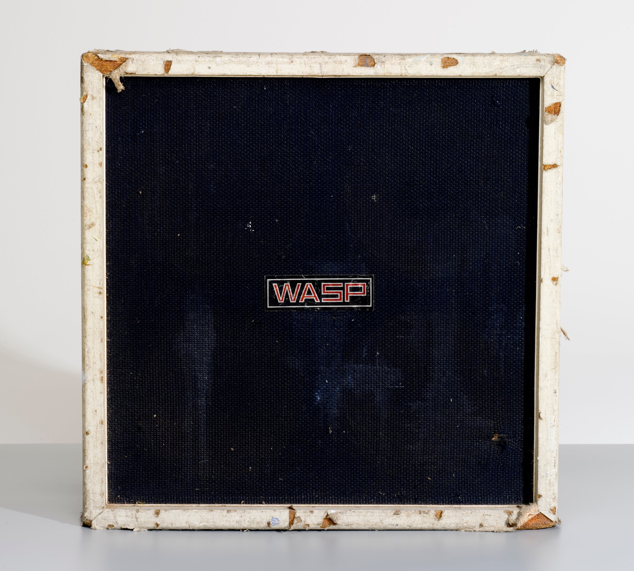 Wasp speaker box used by Radio Birdman