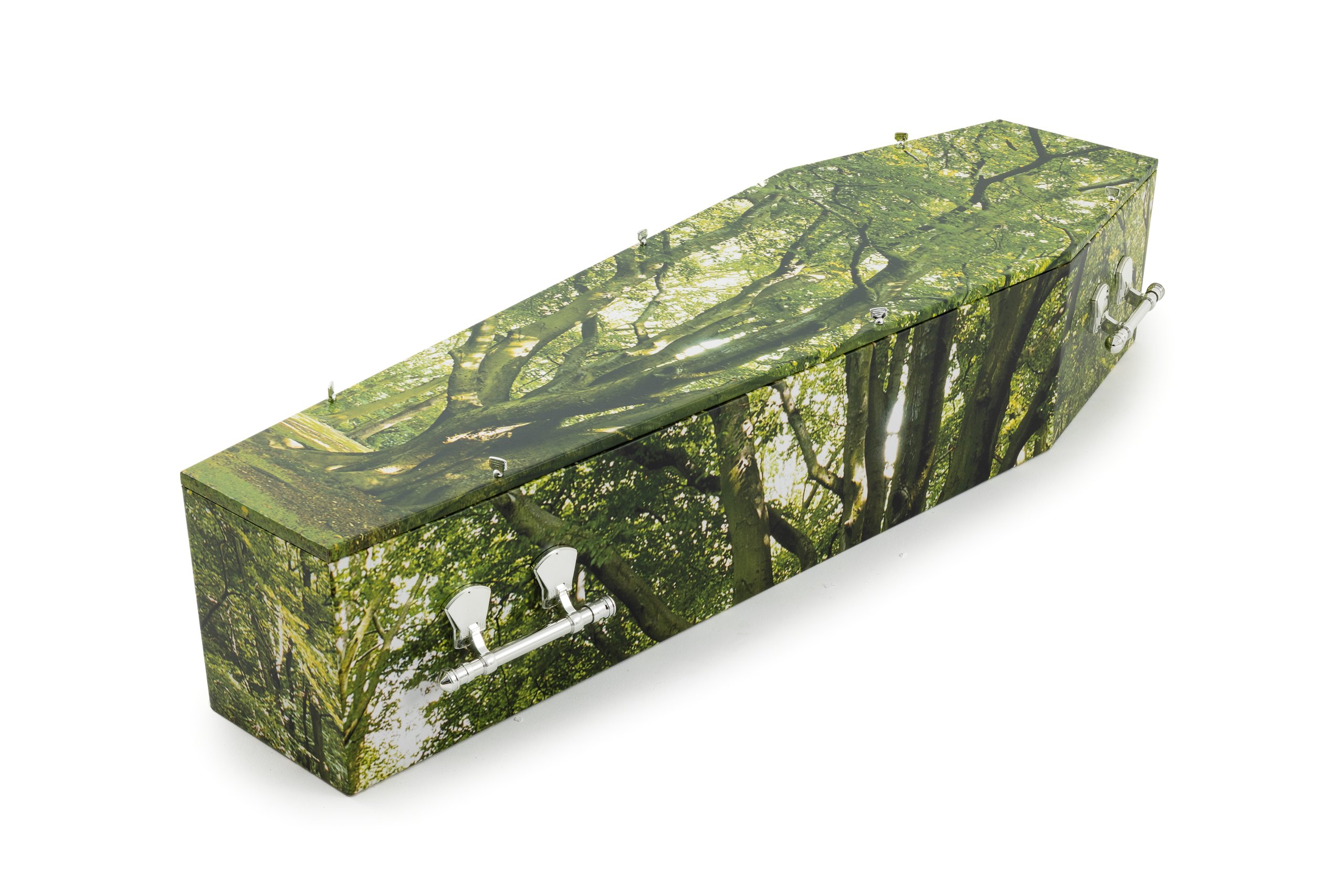 'Stately Tree' cardboard coffin by LifeArt Australia