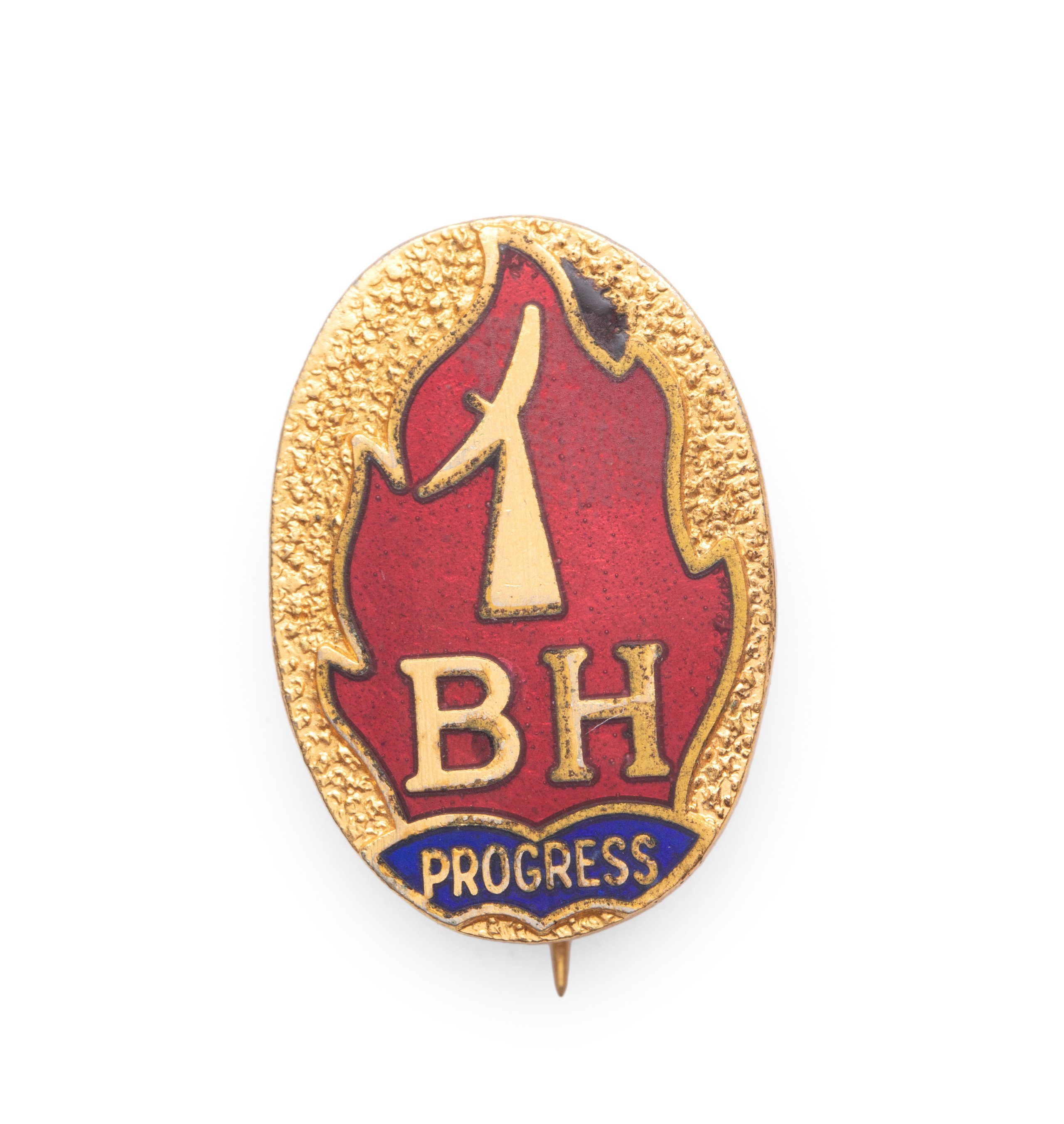 'Progress' school badge