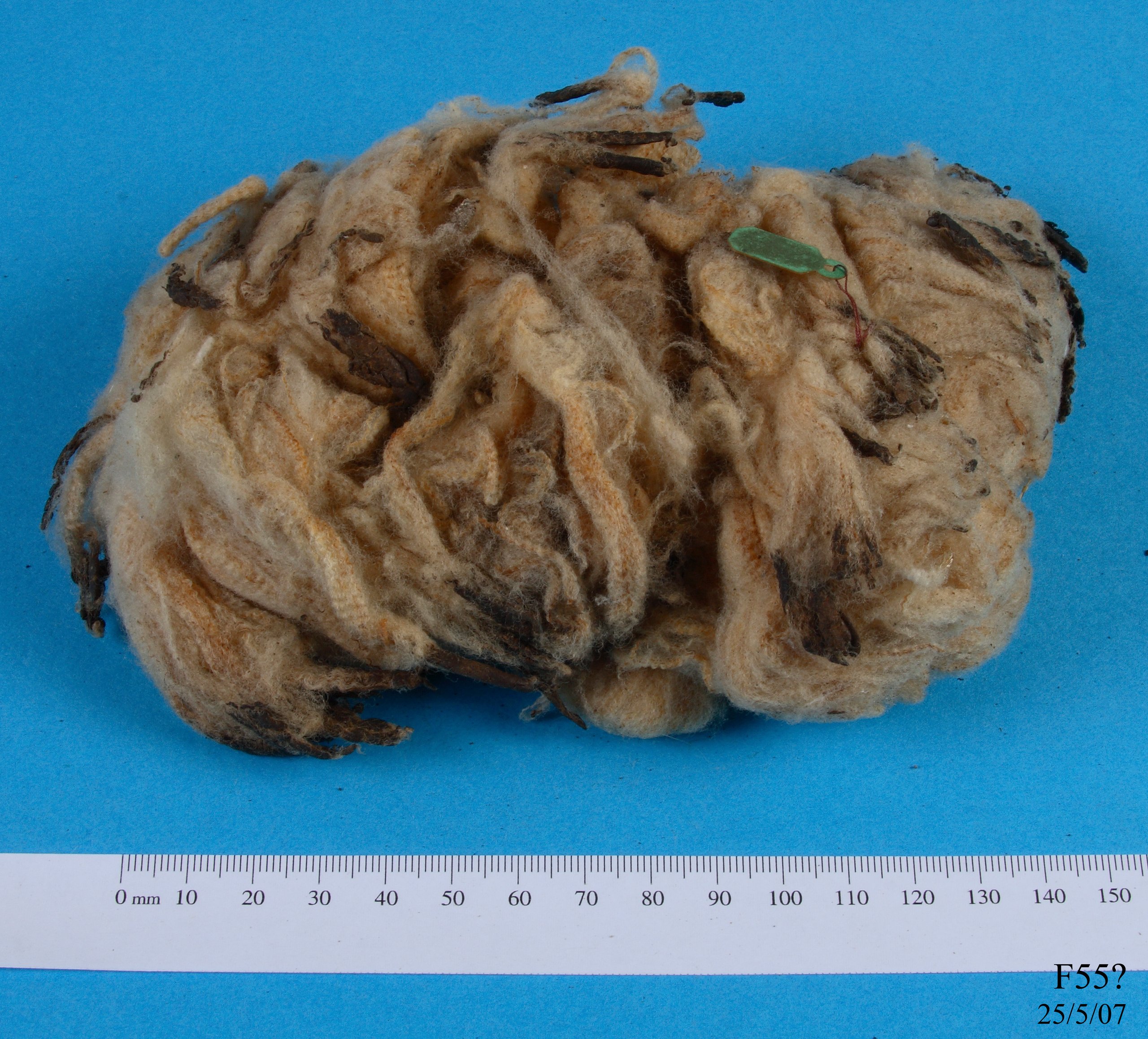 Wool specimen from hogget.