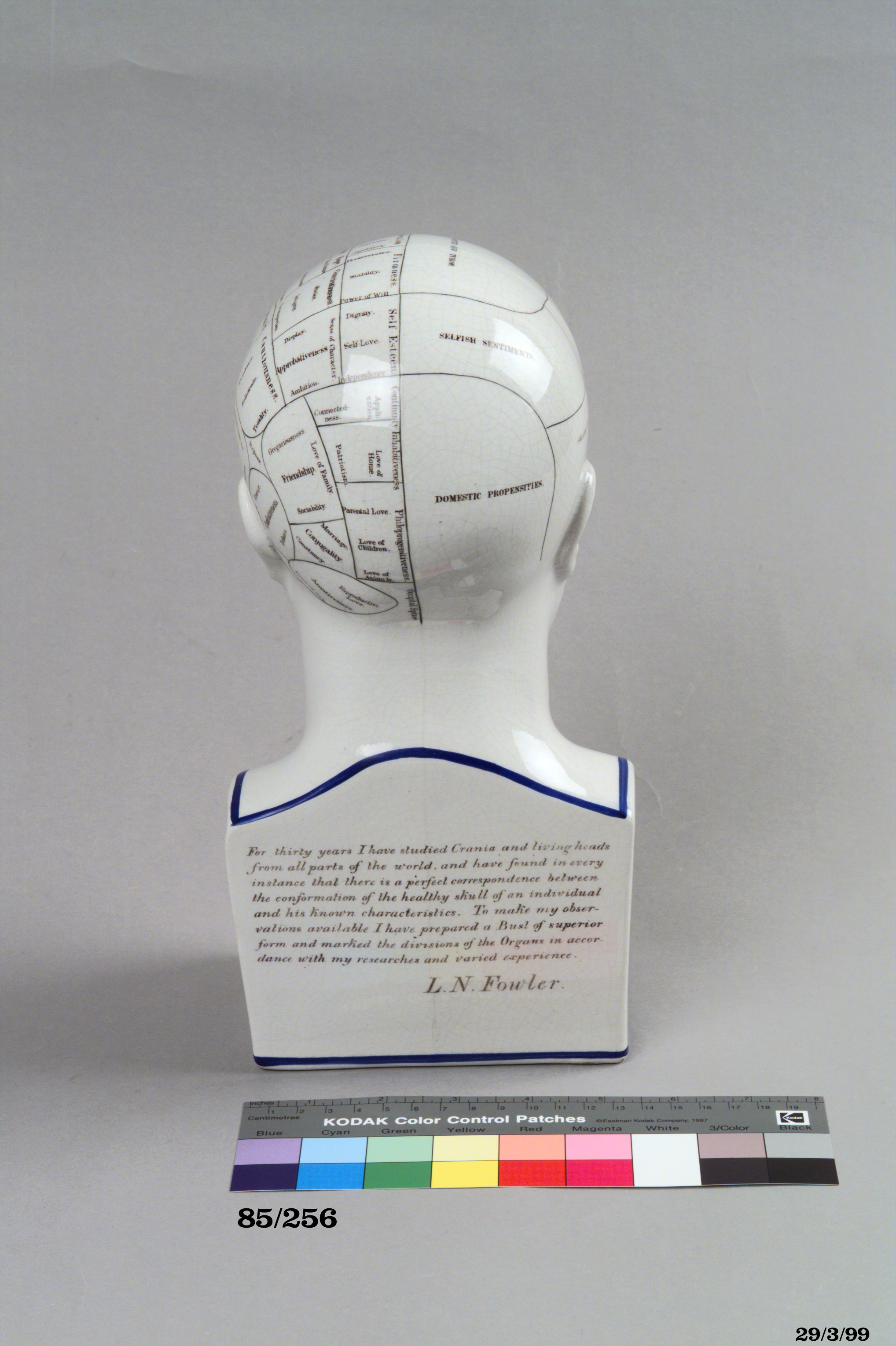 Phrenological bust