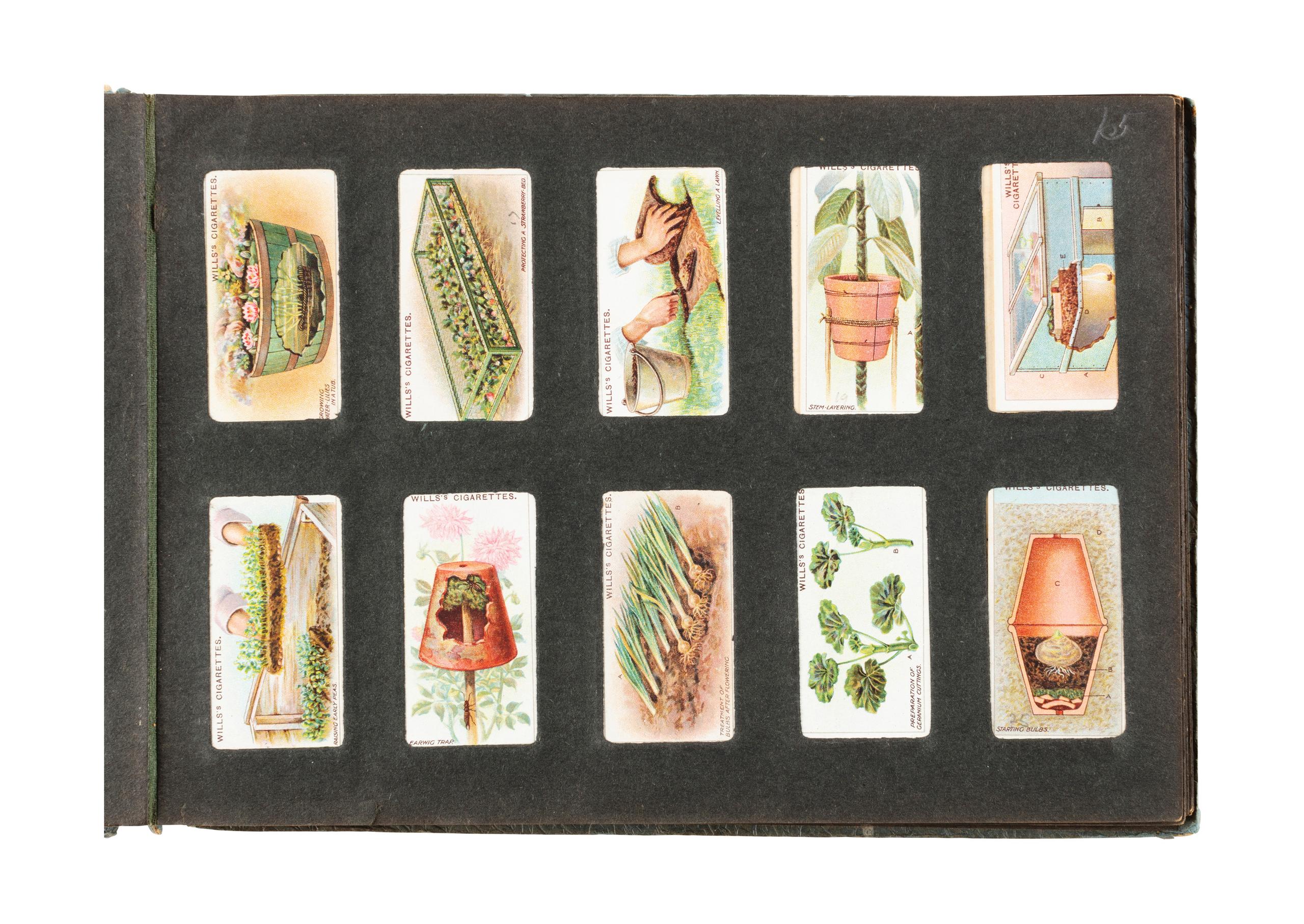 cigarette card album pages Powerhouse Collection